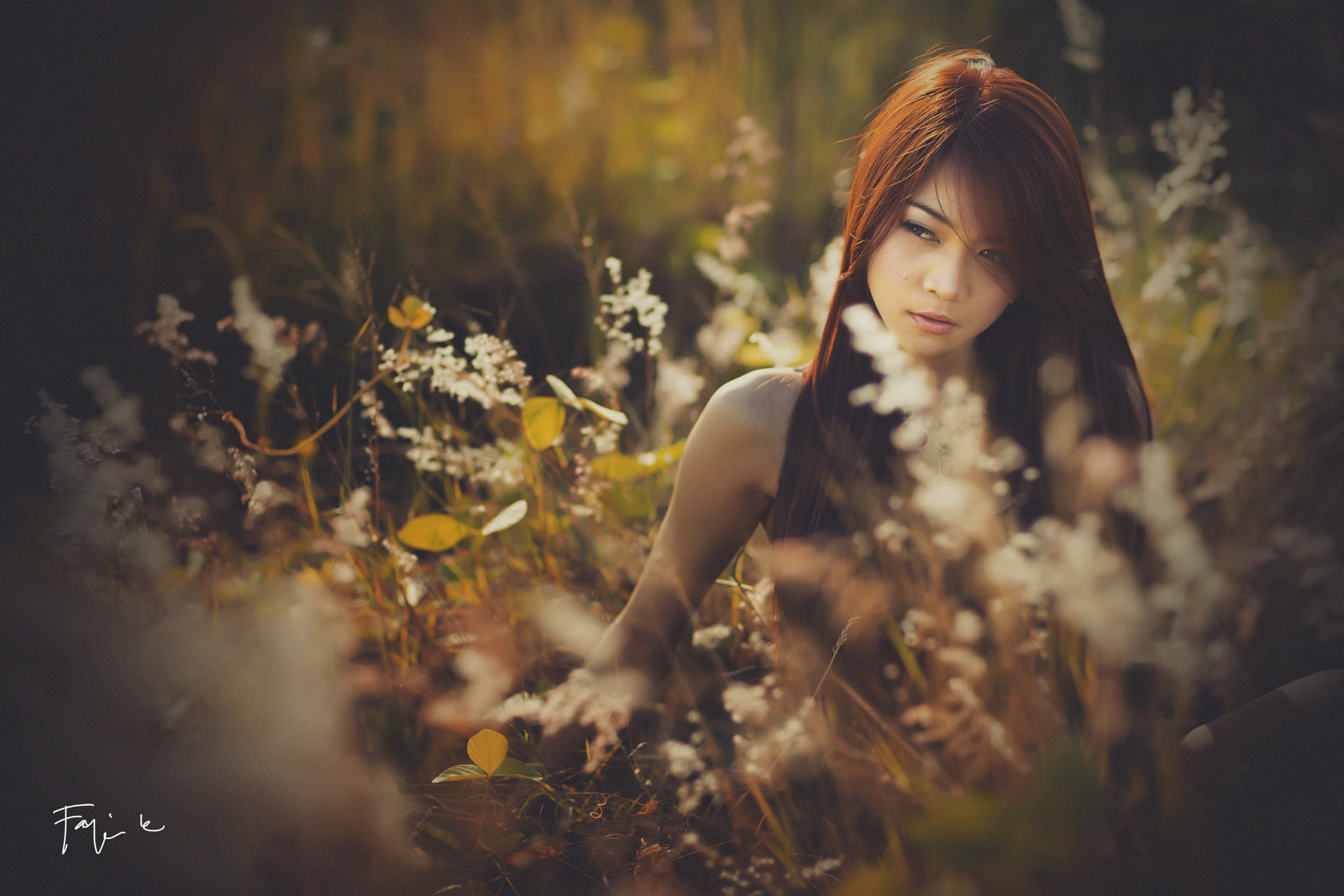 Asian woman with red hair in a field of flowers HD Wallpaper