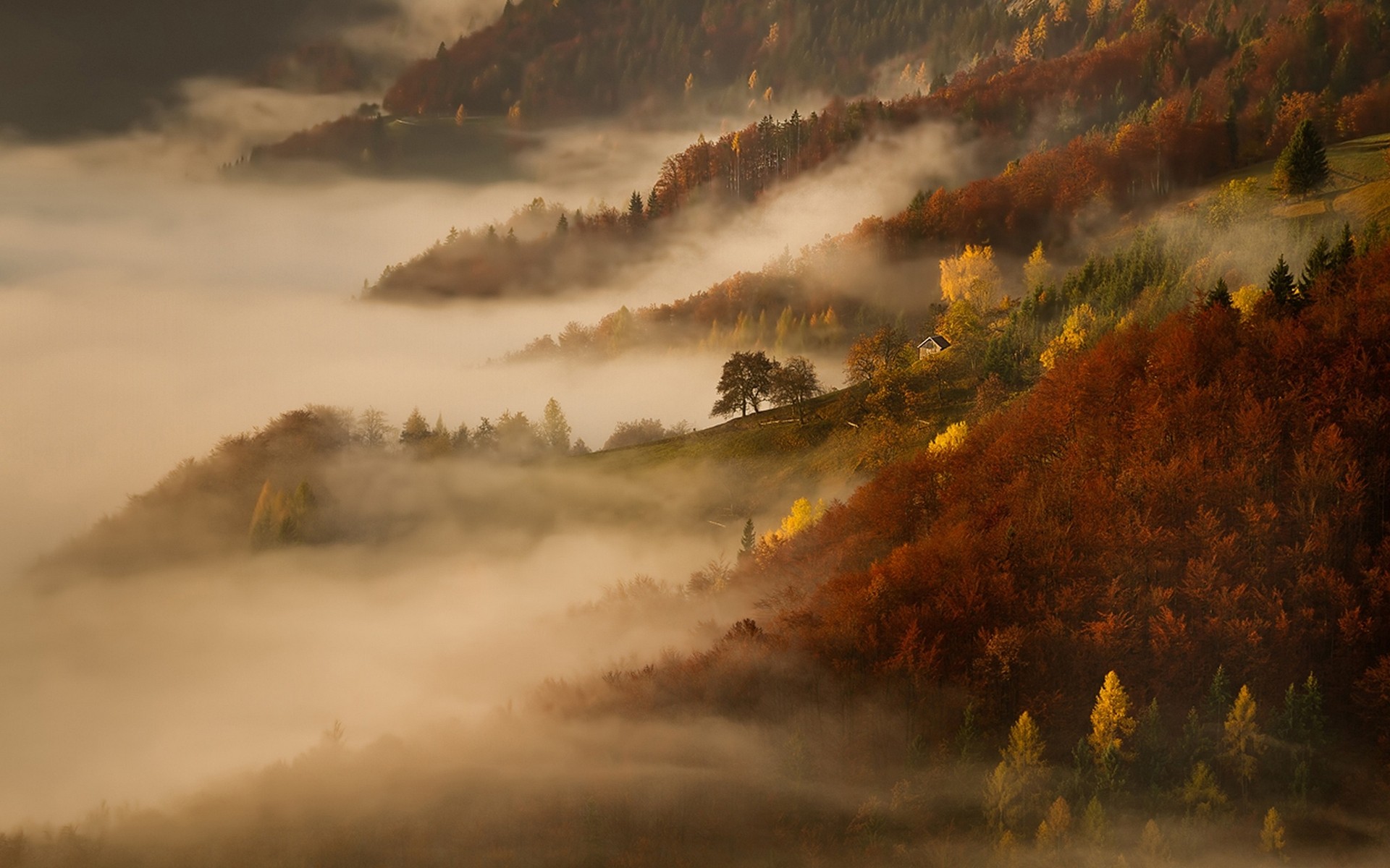 Misty autumn mountains with colorful trees and cottages HD Wallpaper
