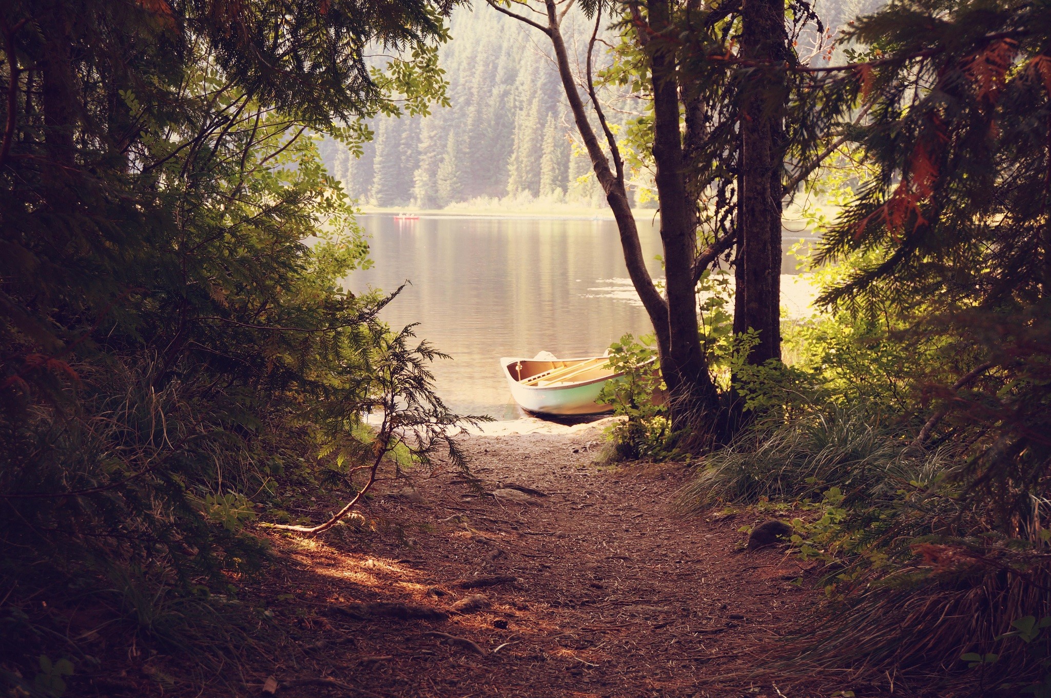 Boat on the shore of a forest lake HD Wallpaper