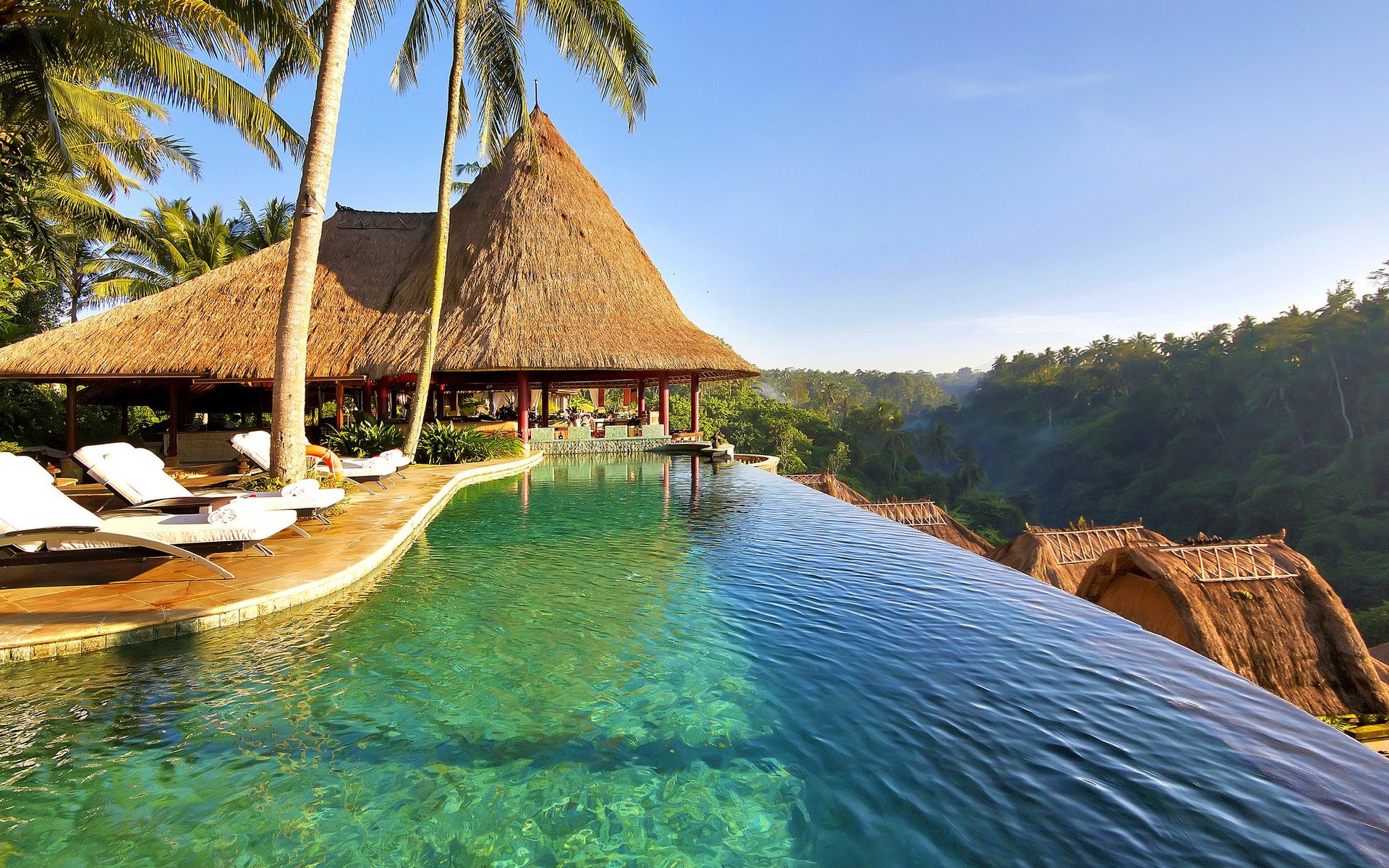 Infinity pool overlooking a tropical jungle at sunrise HD Wallpaper