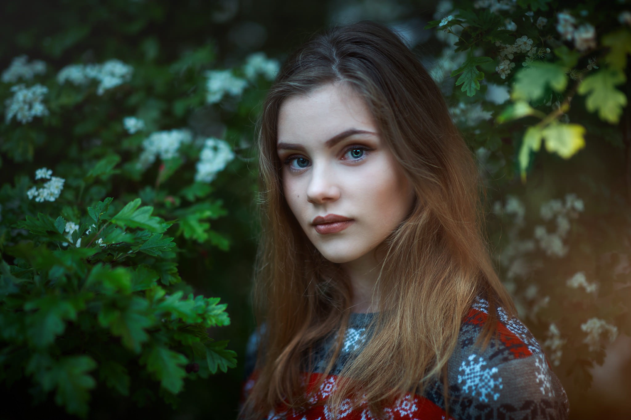 Portrait of a young woman with blue eyes HD Wallpaper