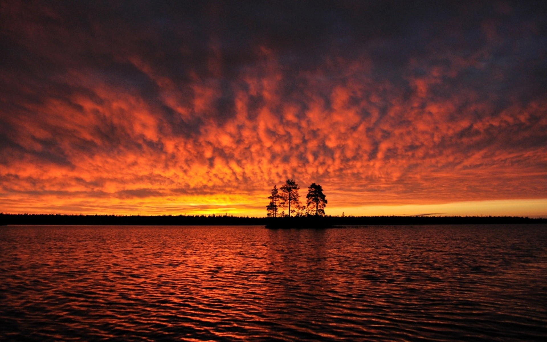 sunset HD Wallpaper