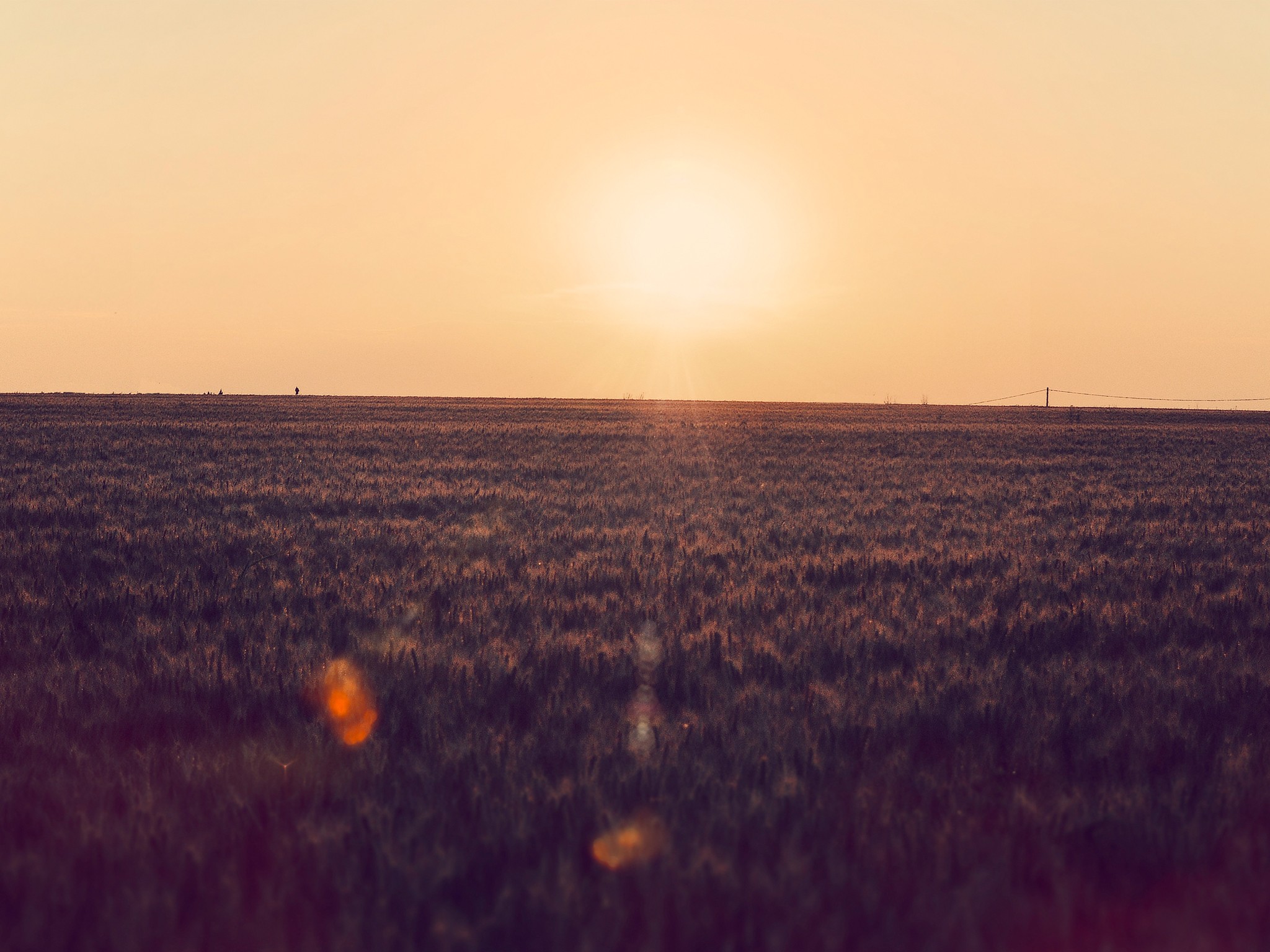 Sunset over a vast field with a lone figure HD Wallpaper