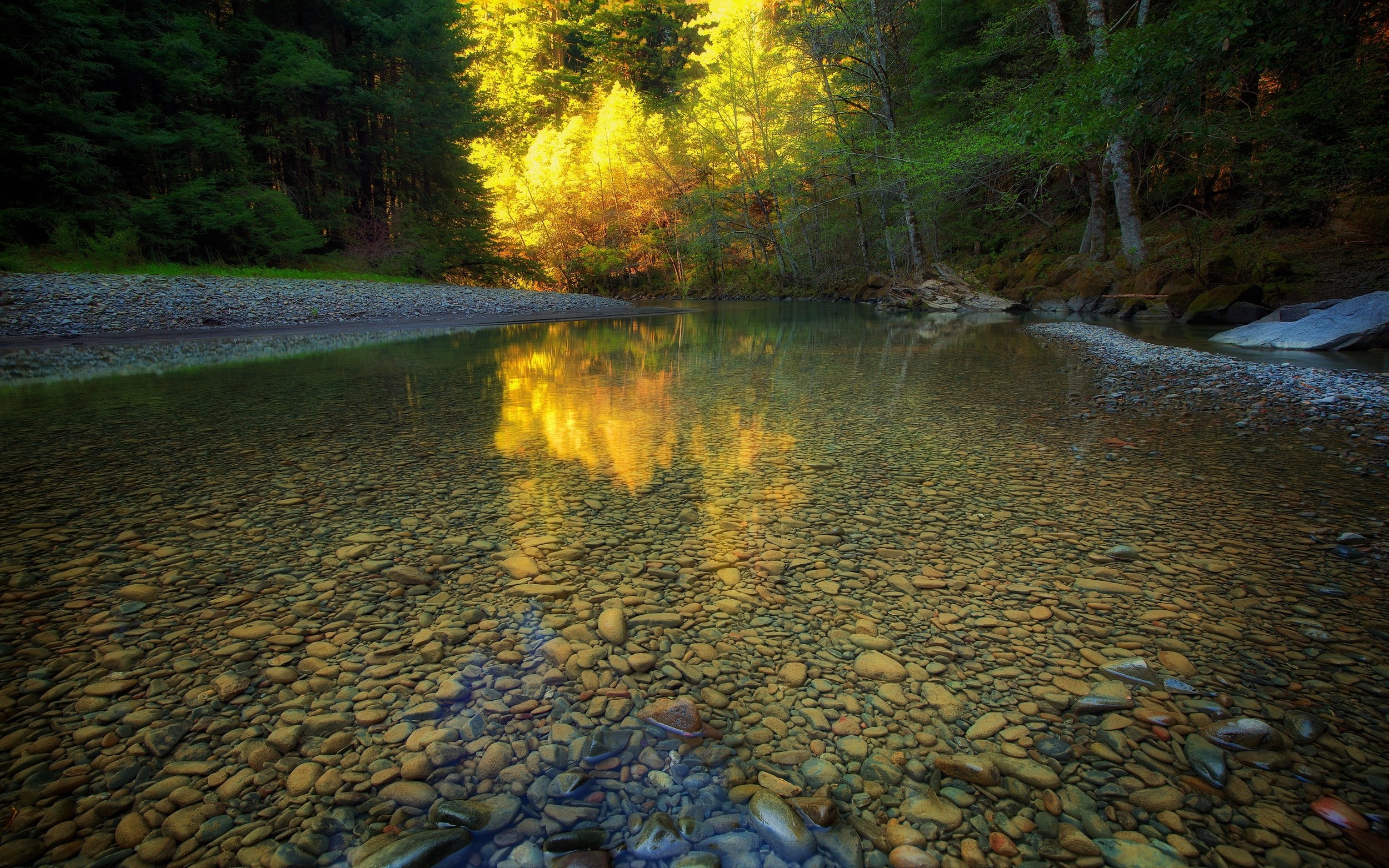 Sunlight reflecting on a river with pebbles and trees HD Wallpaper