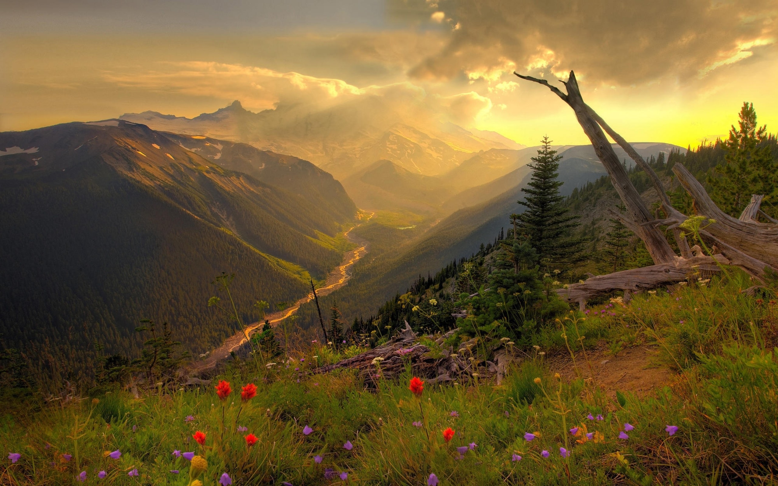 Mountain valley with river and wildflowers at sunset HD Wallpaper