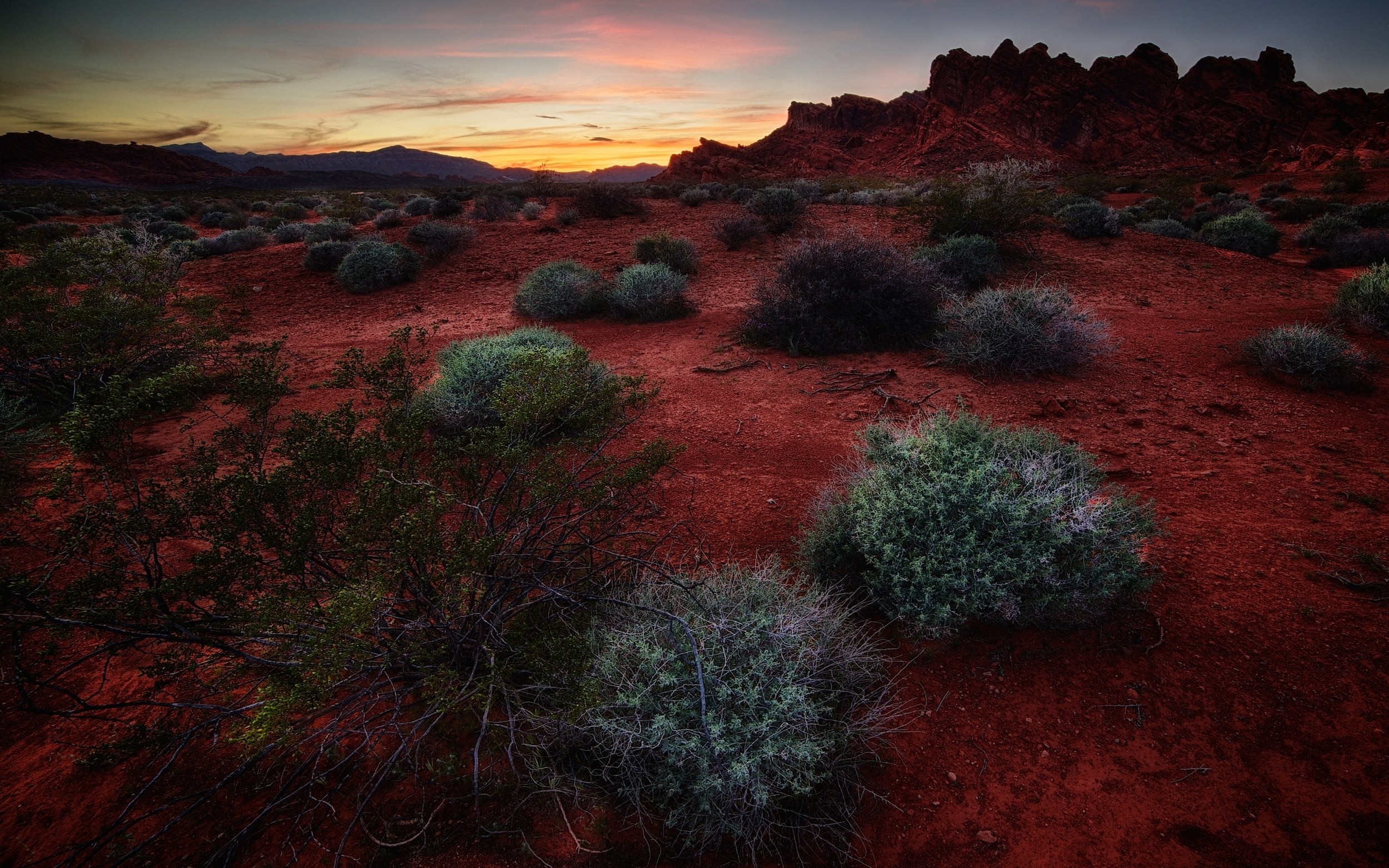 Red desert landscape with shrubs and rock formations at sunset HD Wallpaper