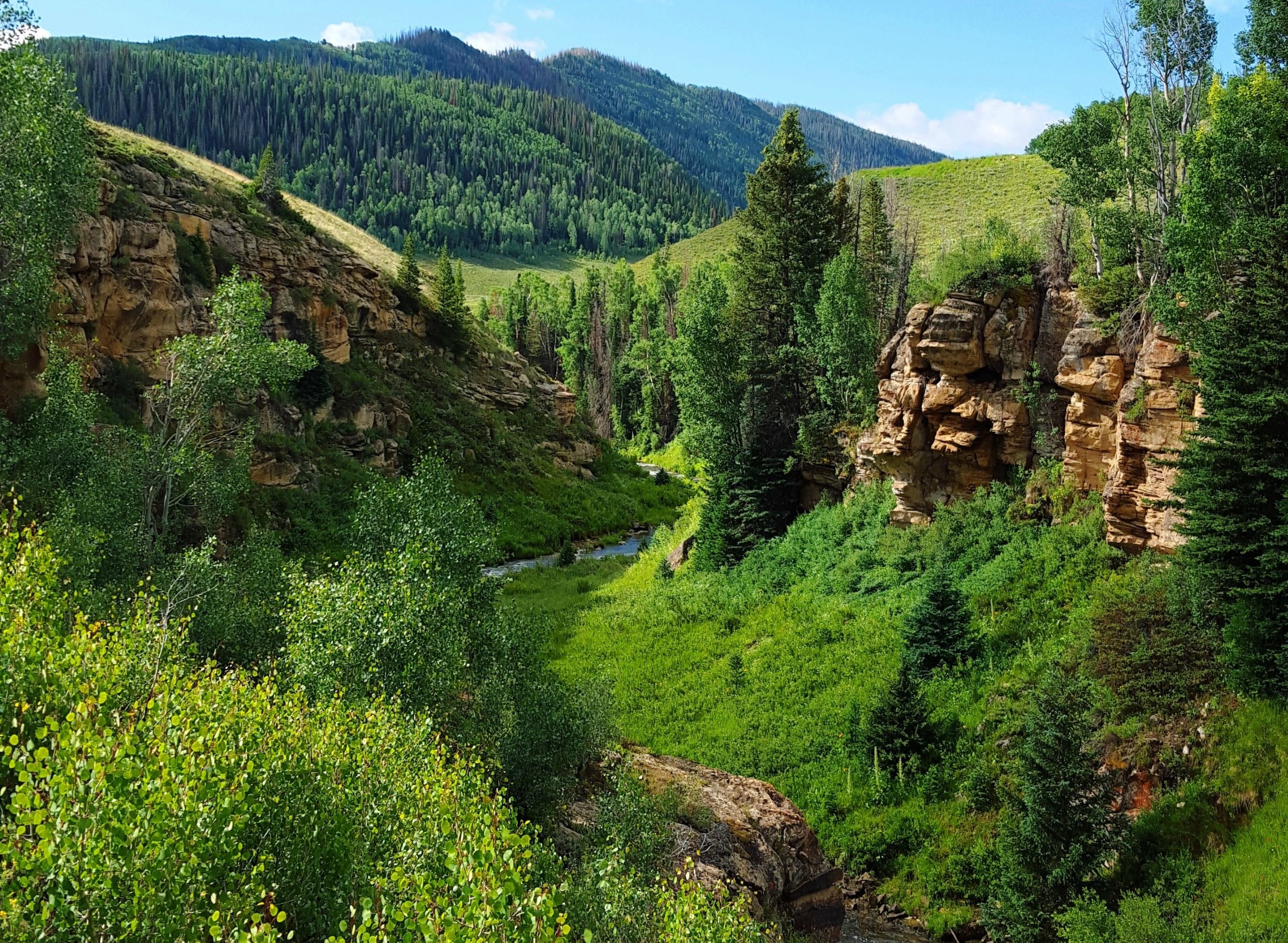 A scenic mountain valley with a river and trees HD Wallpaper
