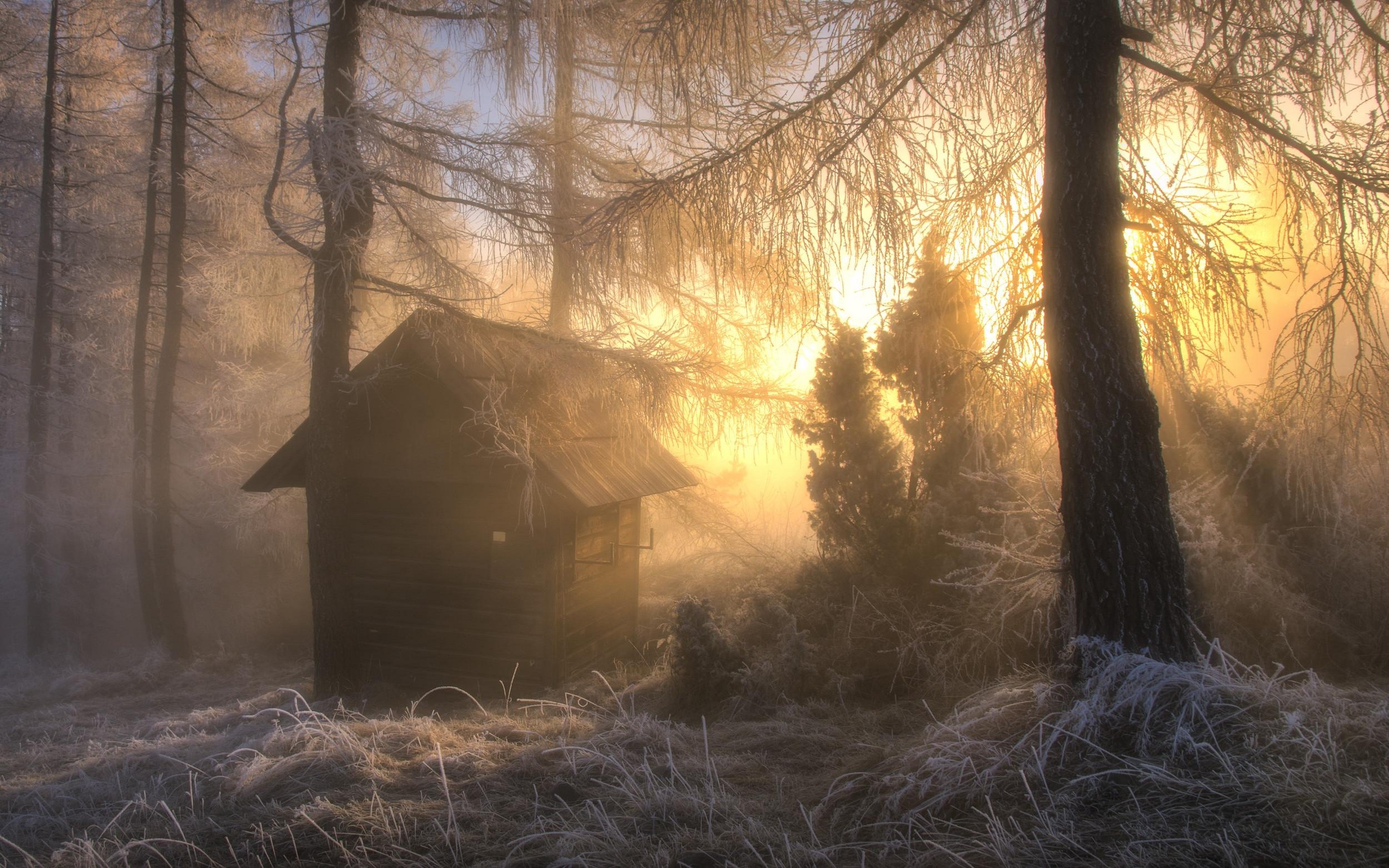 Winter forest with a small hut at sunrise HD Wallpaper