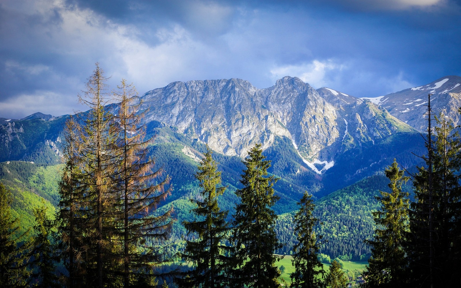 Mountains and forest in Poland under cloudy sky HD Wallpaper
