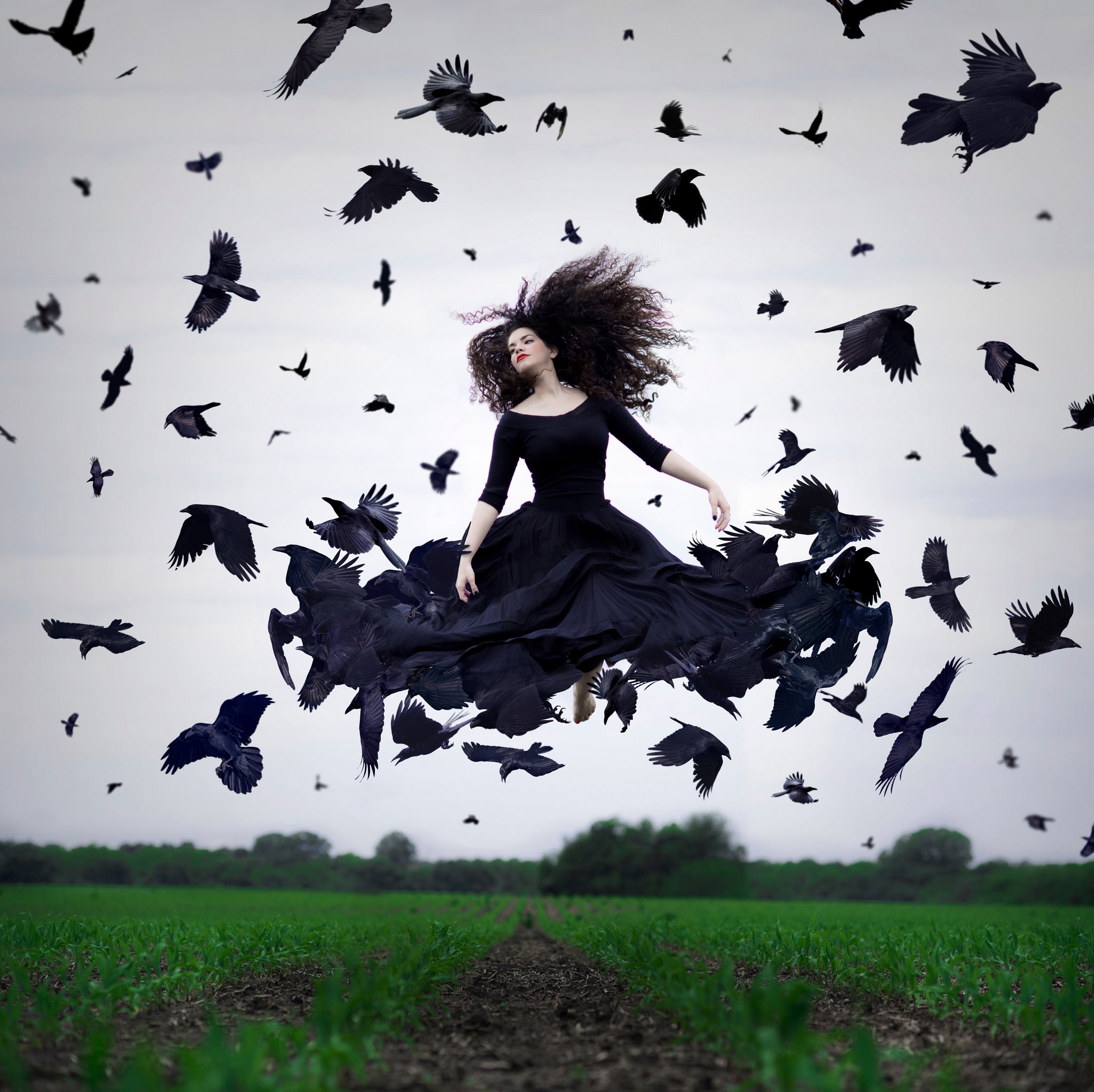 Woman in black dress surrounded by crows HD Wallpaper