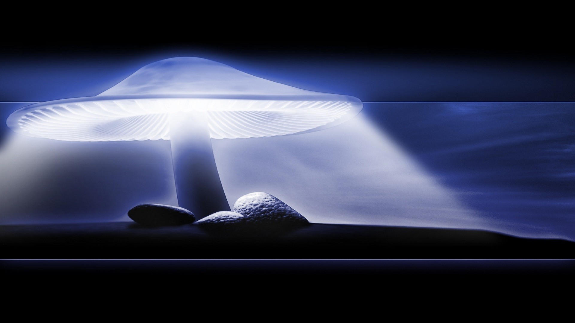 Glowing mushroom with rocks on dark background HD Wallpaper