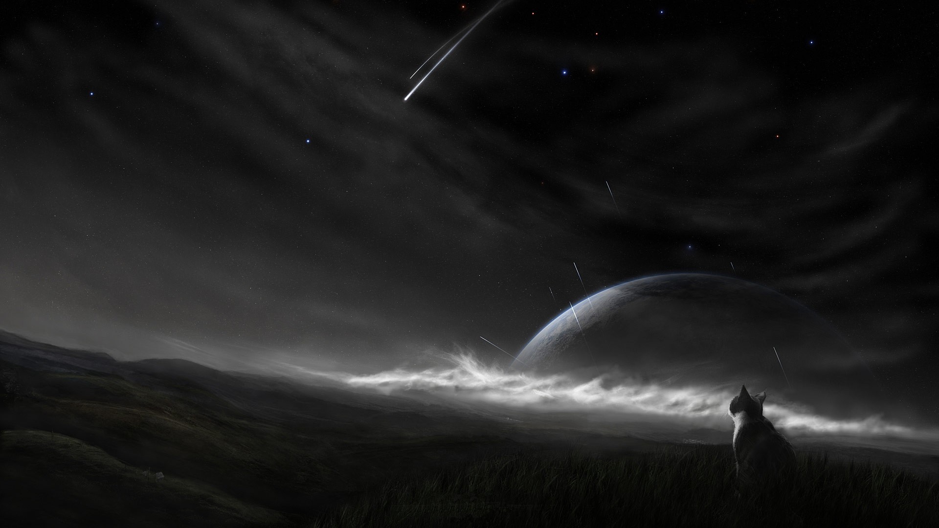 A cat watches shooting stars and a planet at night HD Wallpaper