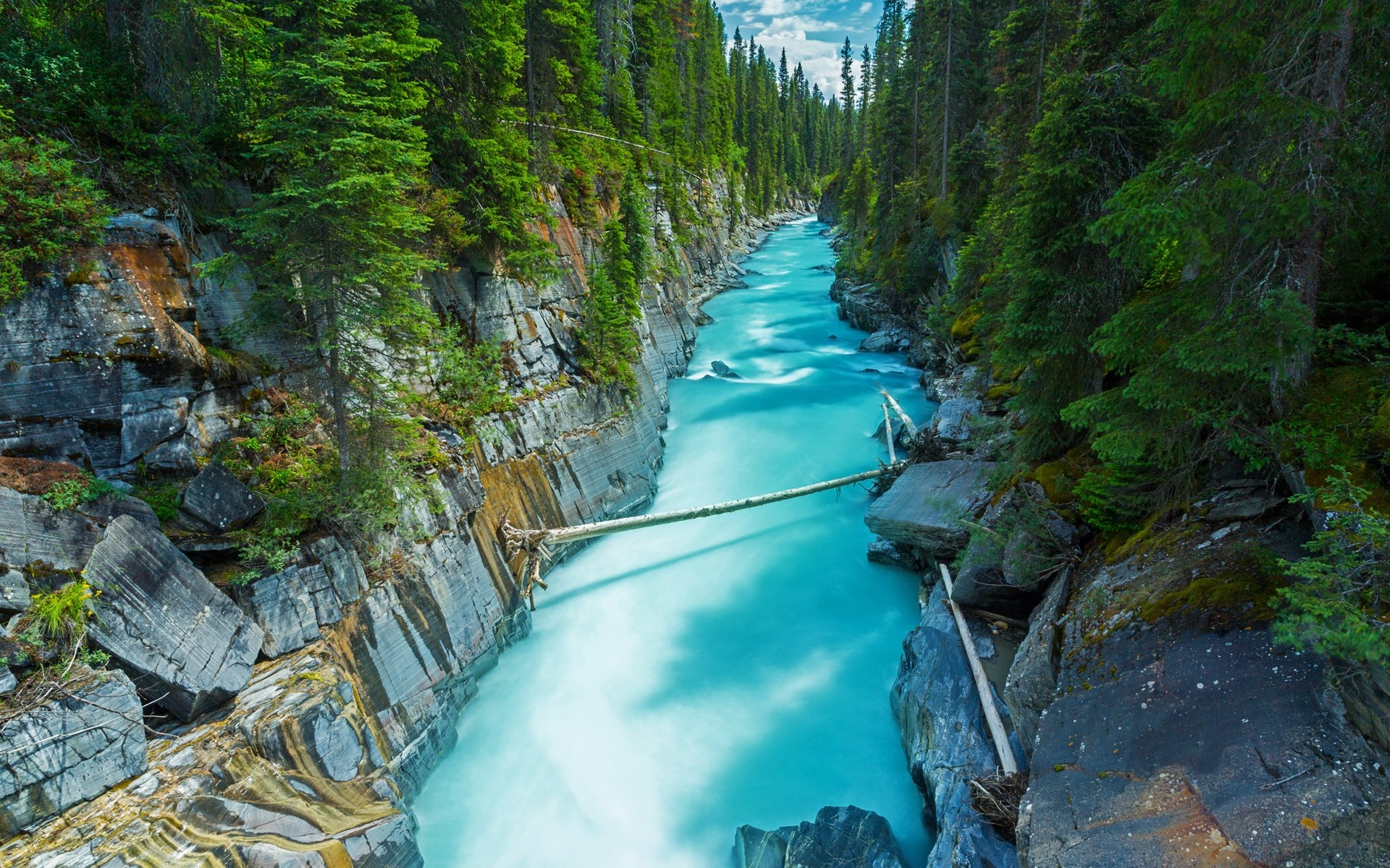 Turquoise river flowing through a rocky forest canyon in Canada HD Wallpaper