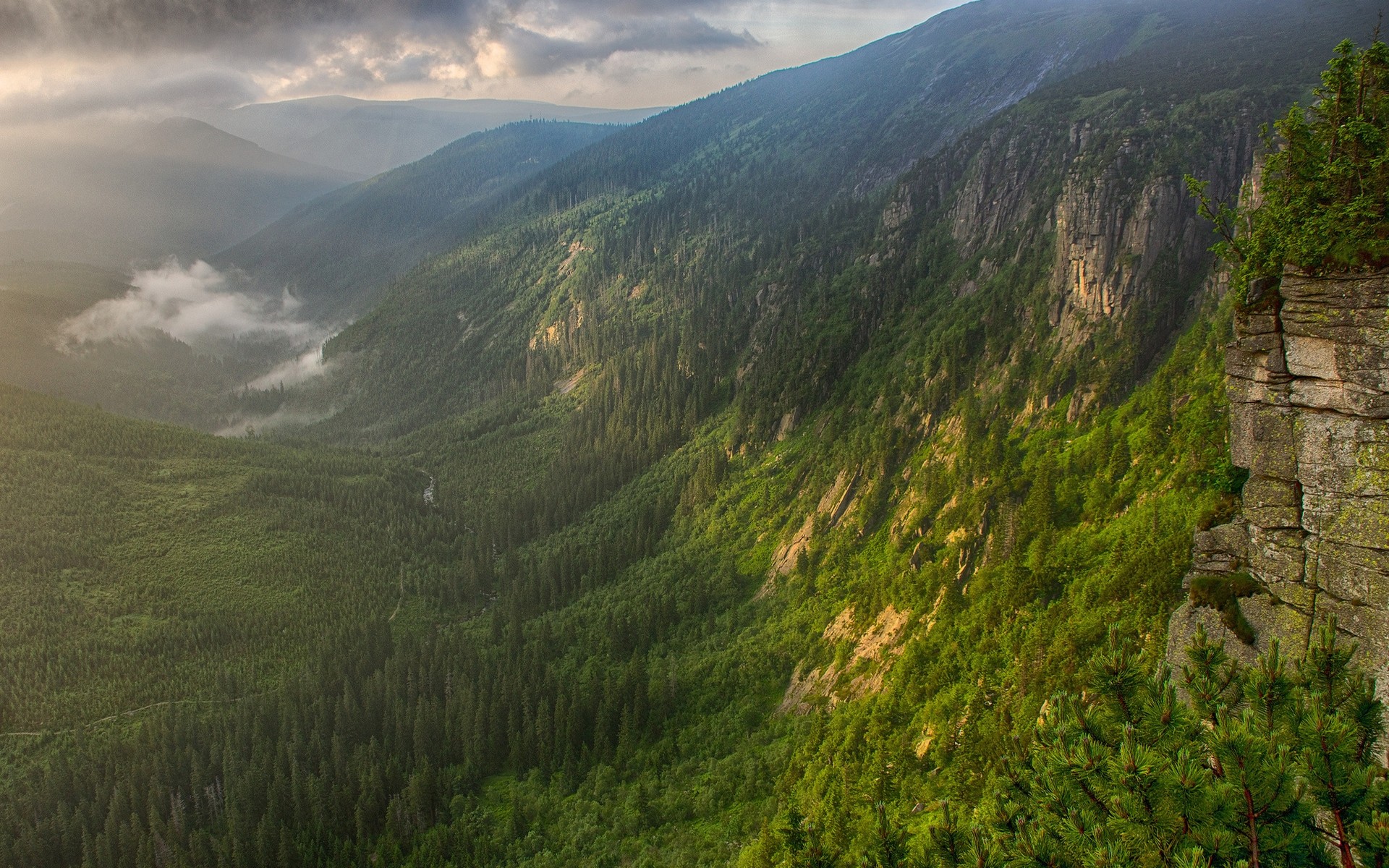 Misty valley with forested mountains at sunset HD Wallpaper