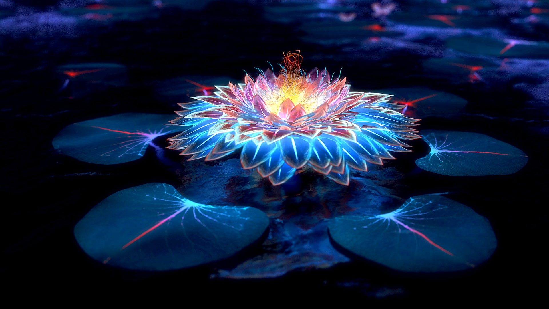 Glowing Lotus Flower on Dark Water HD Wallpaper