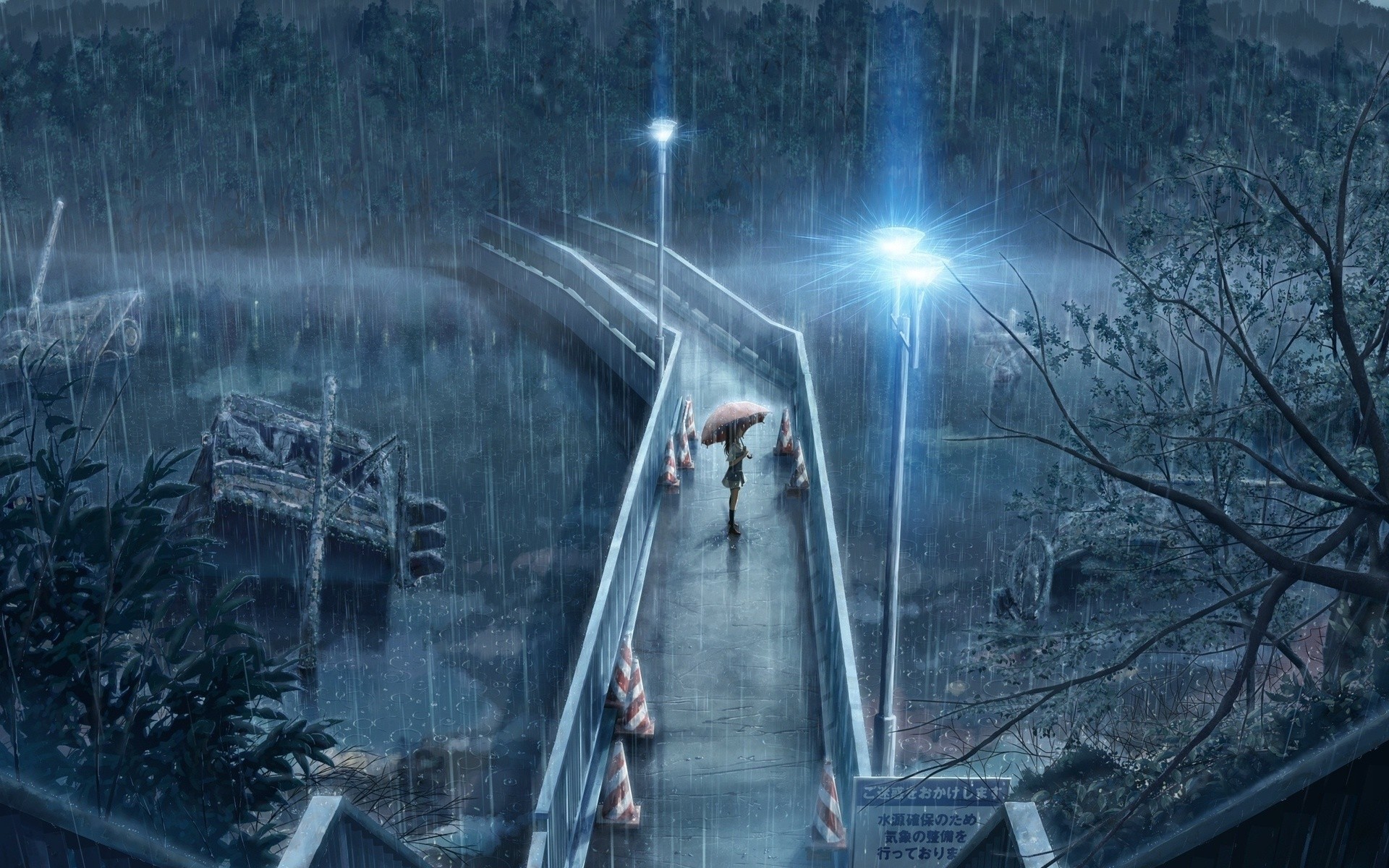 Girl with umbrella on a bridge in the rain HD Wallpaper