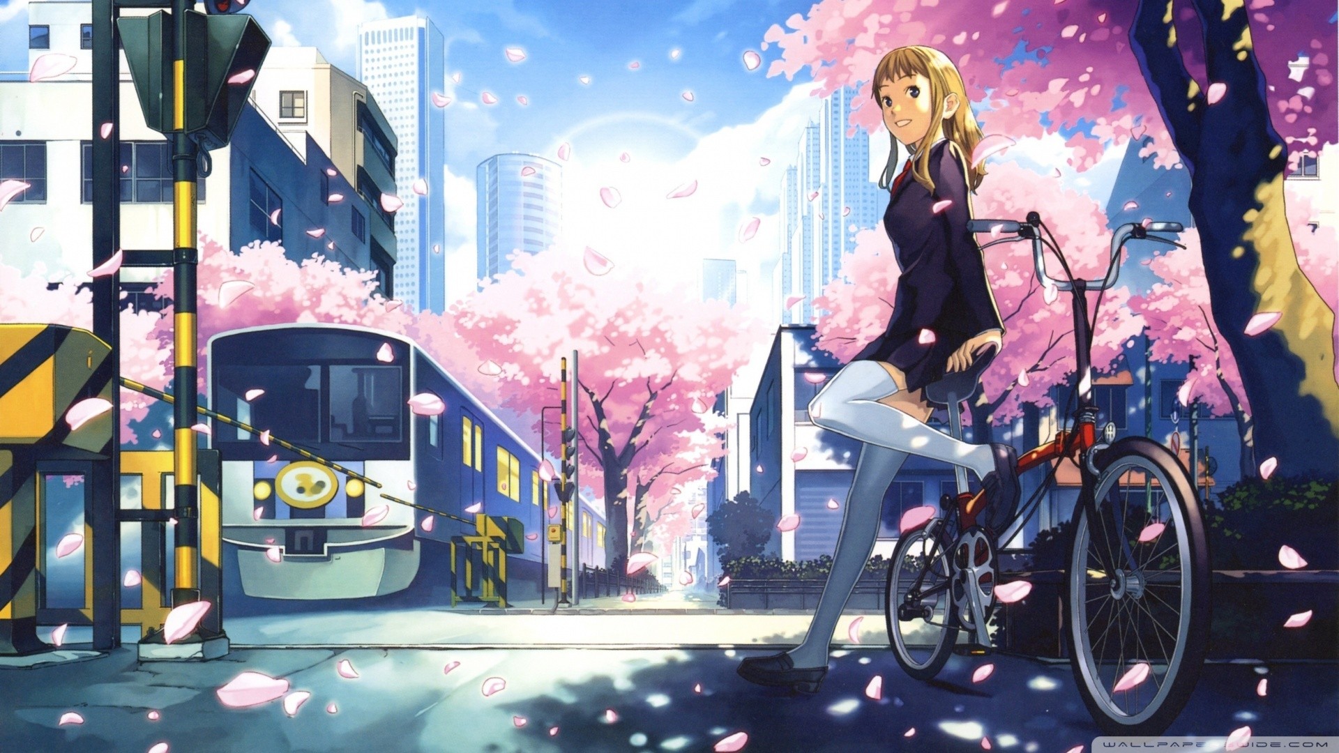 Anime girl with bicycle near train tracks during cherry blossom season HD Wallpaper