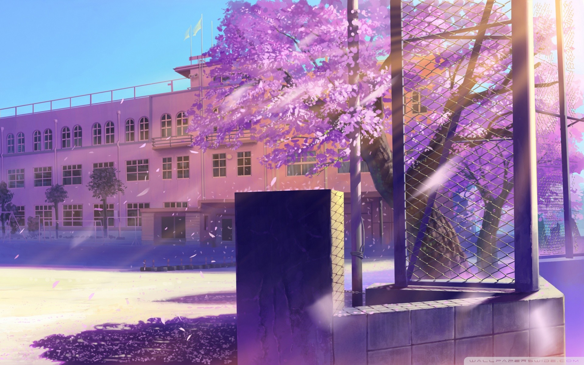 Anime school building with blooming purple trees HD Wallpaper