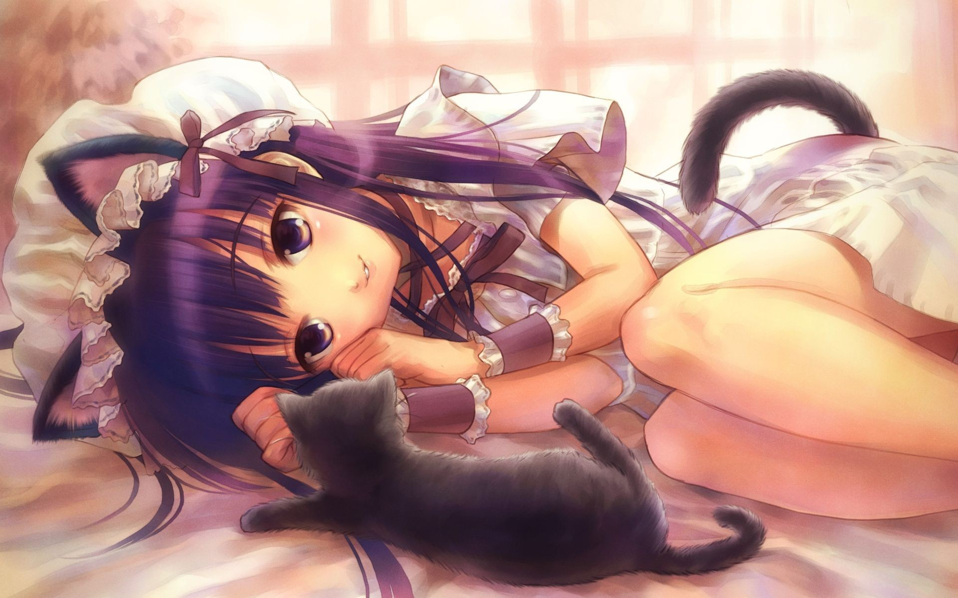 Anime girl with cat ears and tail with kitten HD Wallpaper