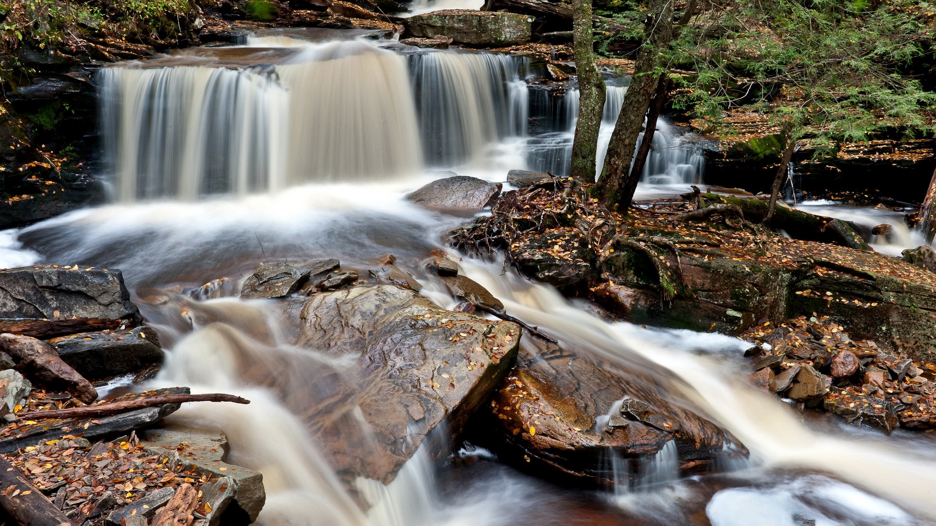 Waterfalls cascading over rocks in a forest HD Wallpaper