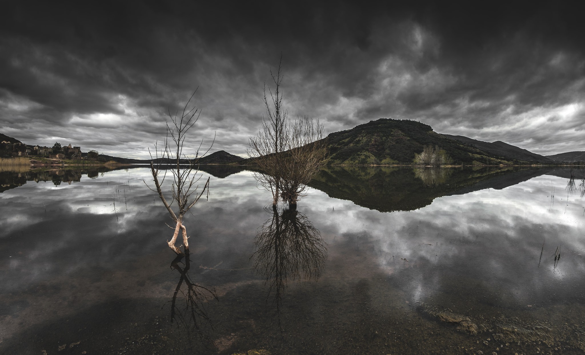 Overcast lake with dead trees and reflections HD Wallpaper