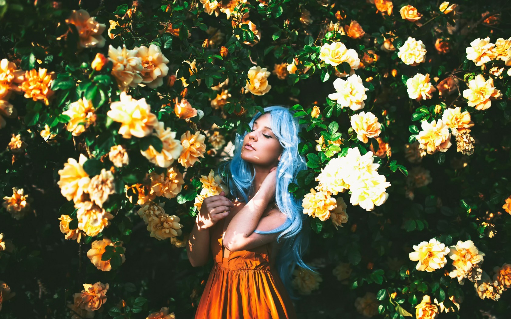 Woman with blue dyed hair among yellow roses HD Wallpaper