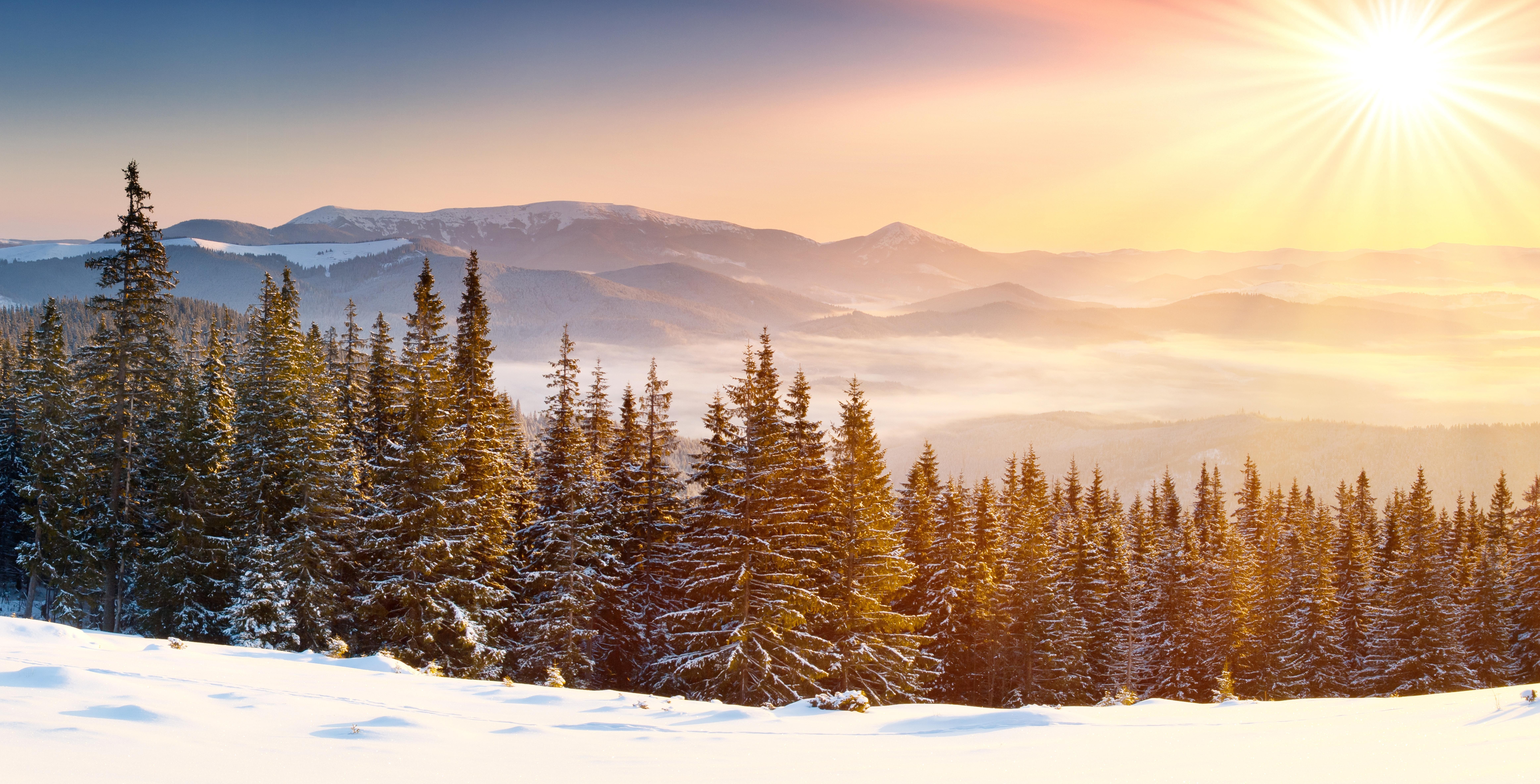 Winter forest and mountains at sunrise with sun rays HD Wallpaper