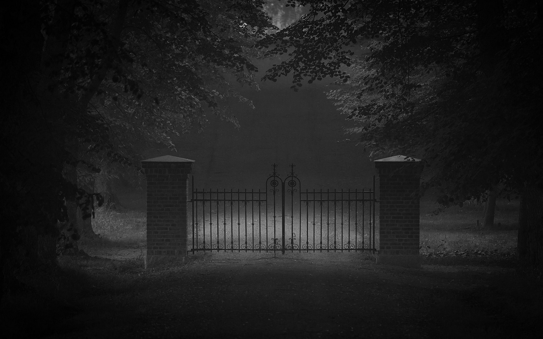 Dark misty gates in a forest HD Wallpaper