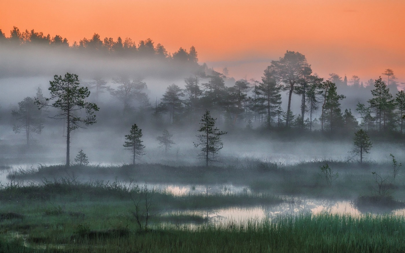 Misty forest landscape at sunset in Russia HD Wallpaper