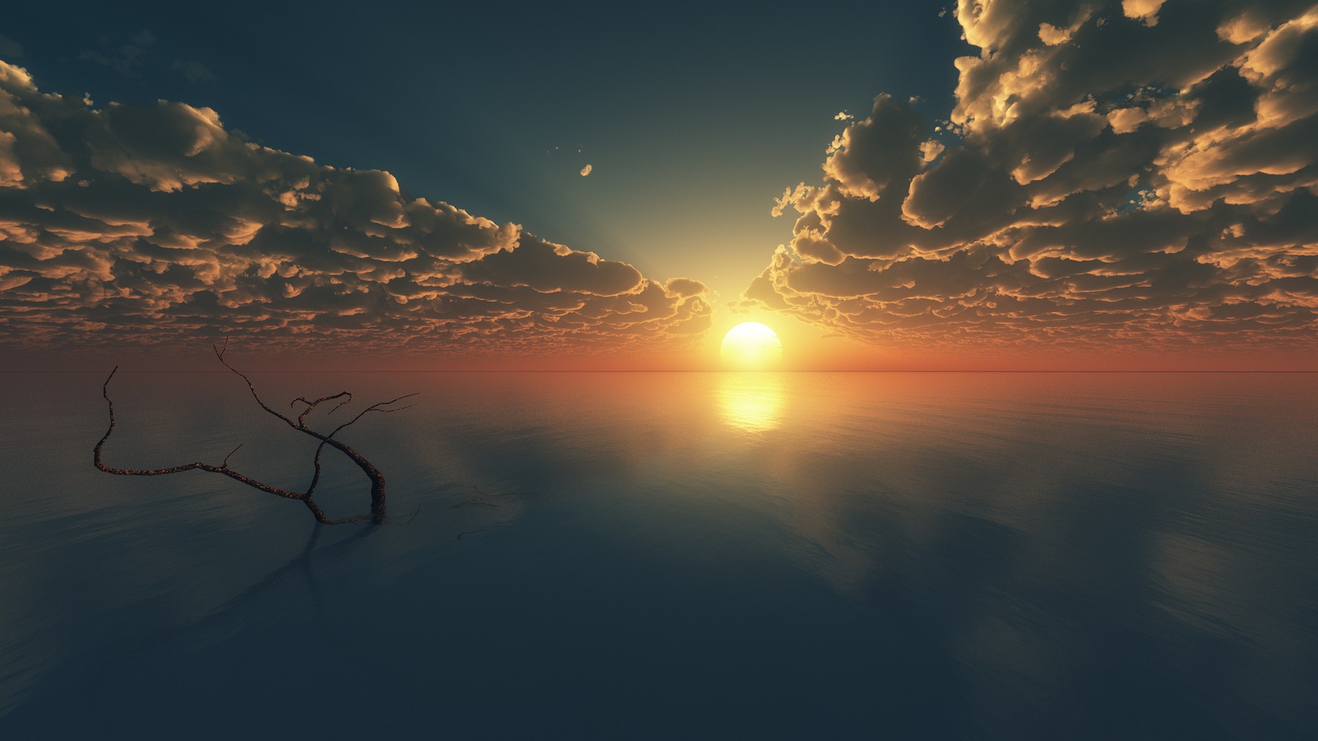 Sunset over the ocean with clouds and a branch HD Wallpaper
