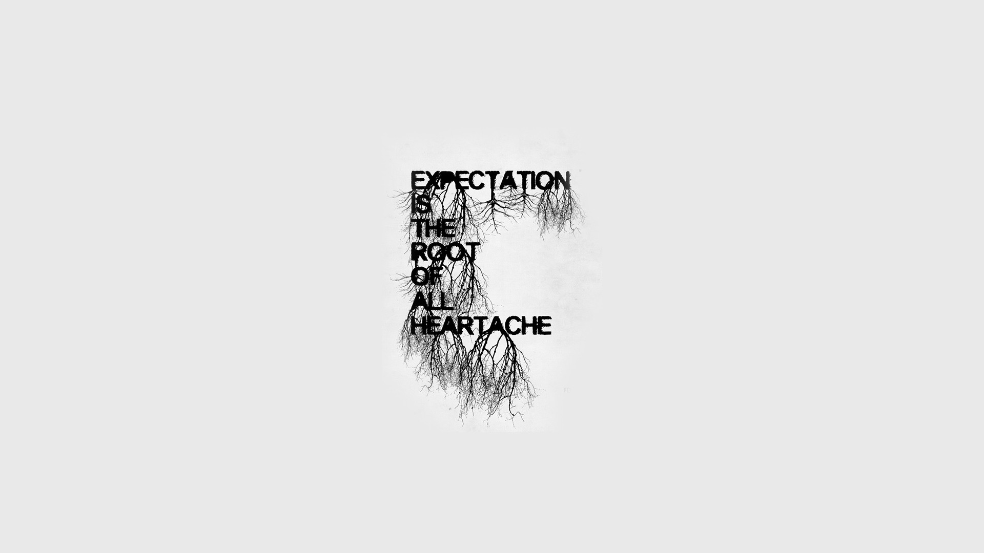 Expectation is the root of all heartache typography HD Wallpaper