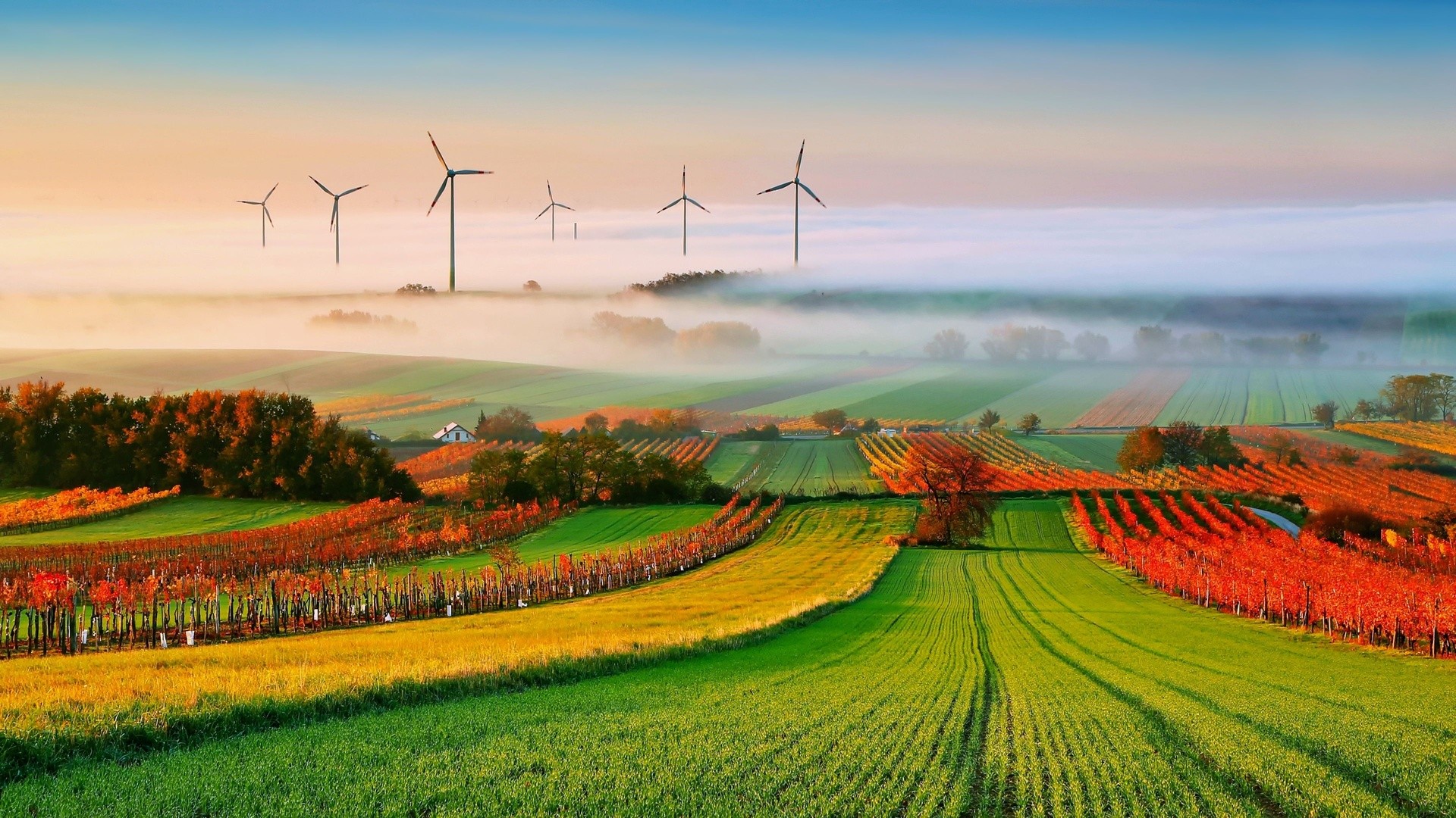 Wind turbines in a misty landscape with vineyards and fields HD Wallpaper