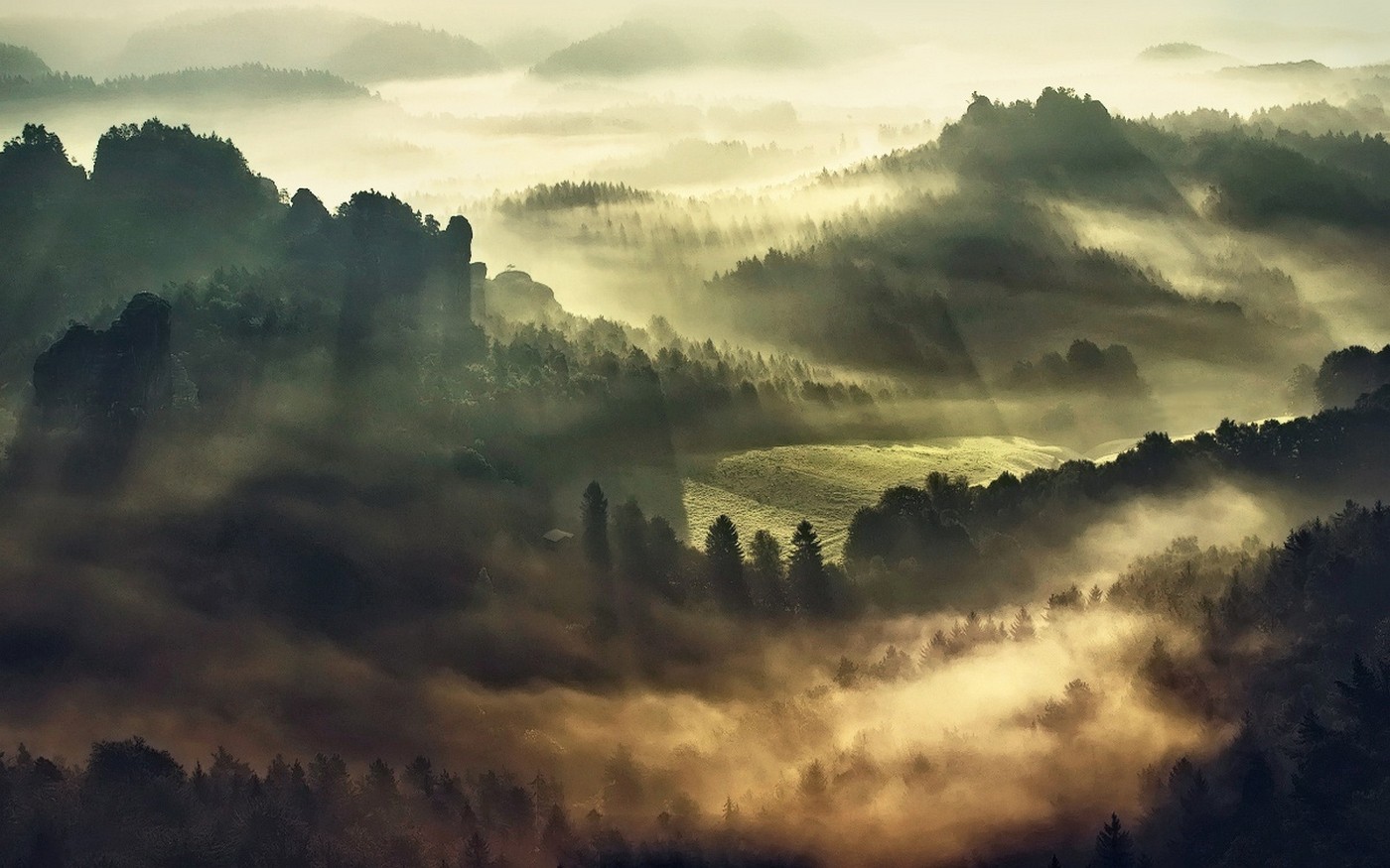 Misty morning over a forest landscape with hills HD Wallpaper