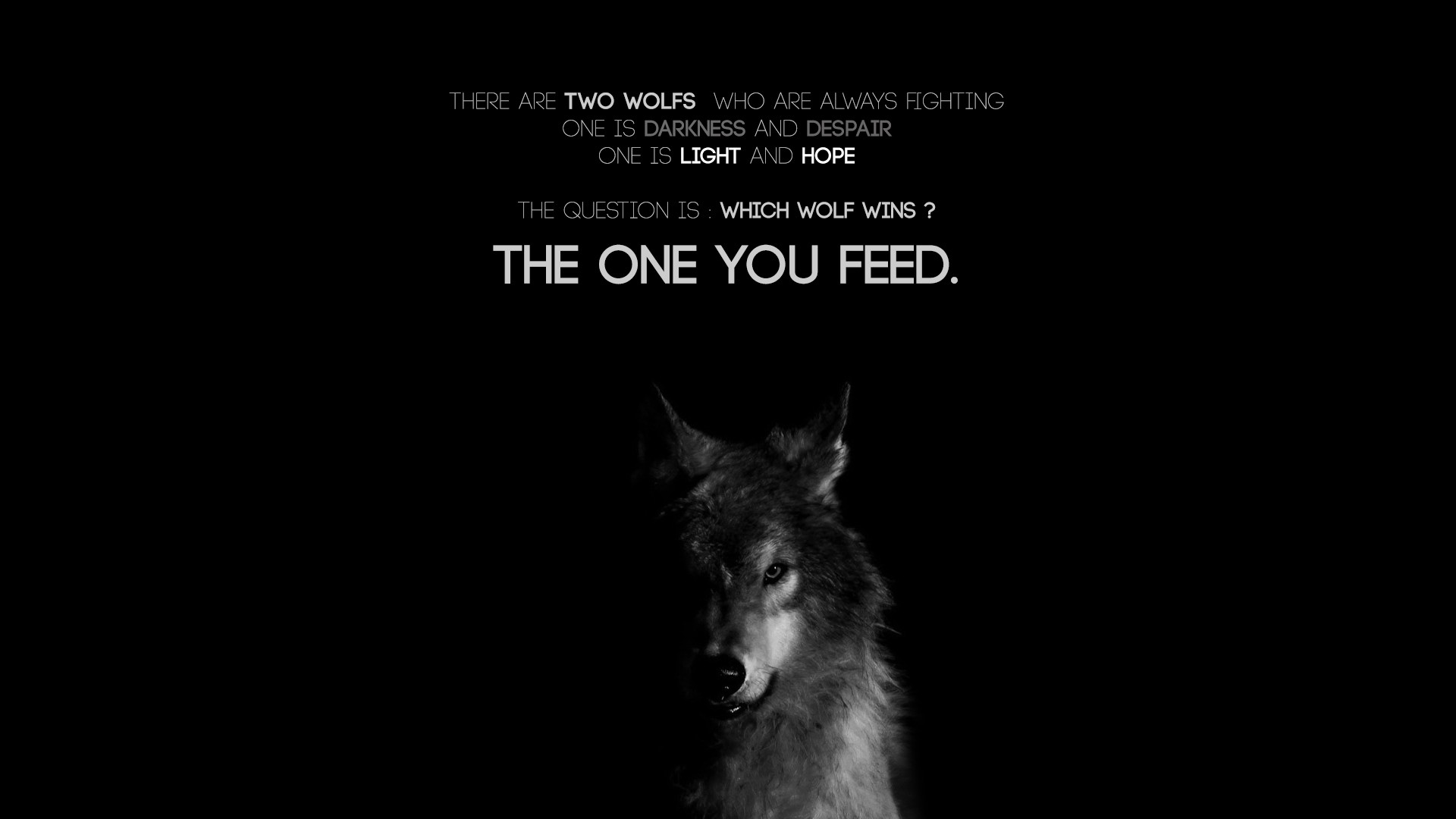 The One You Feed Wolf Quote HD Wallpaper