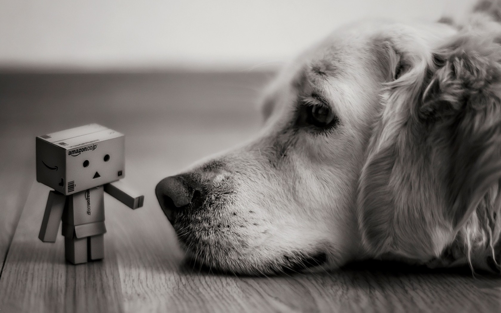 Danbo and Golden Retriever dog in macro photography HD Wallpaper