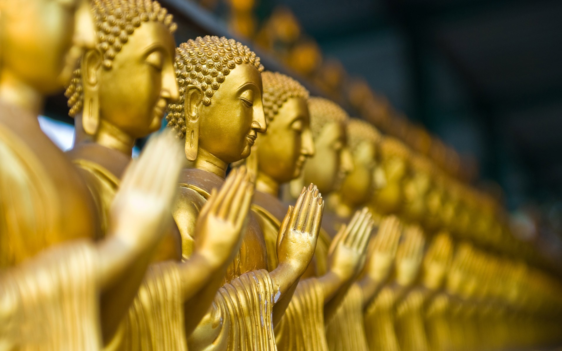 Row of golden Buddha statues with praying hands HD Wallpaper