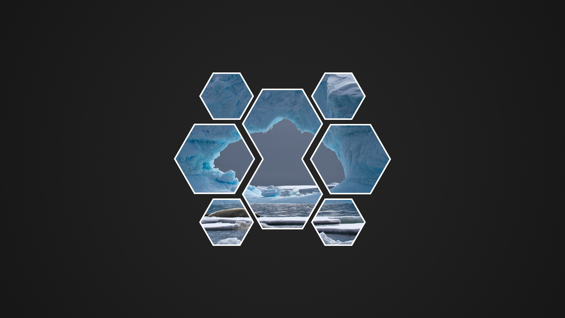 Hexagonal collage of Antarctic icebergs and a polar bear HD Wallpaper