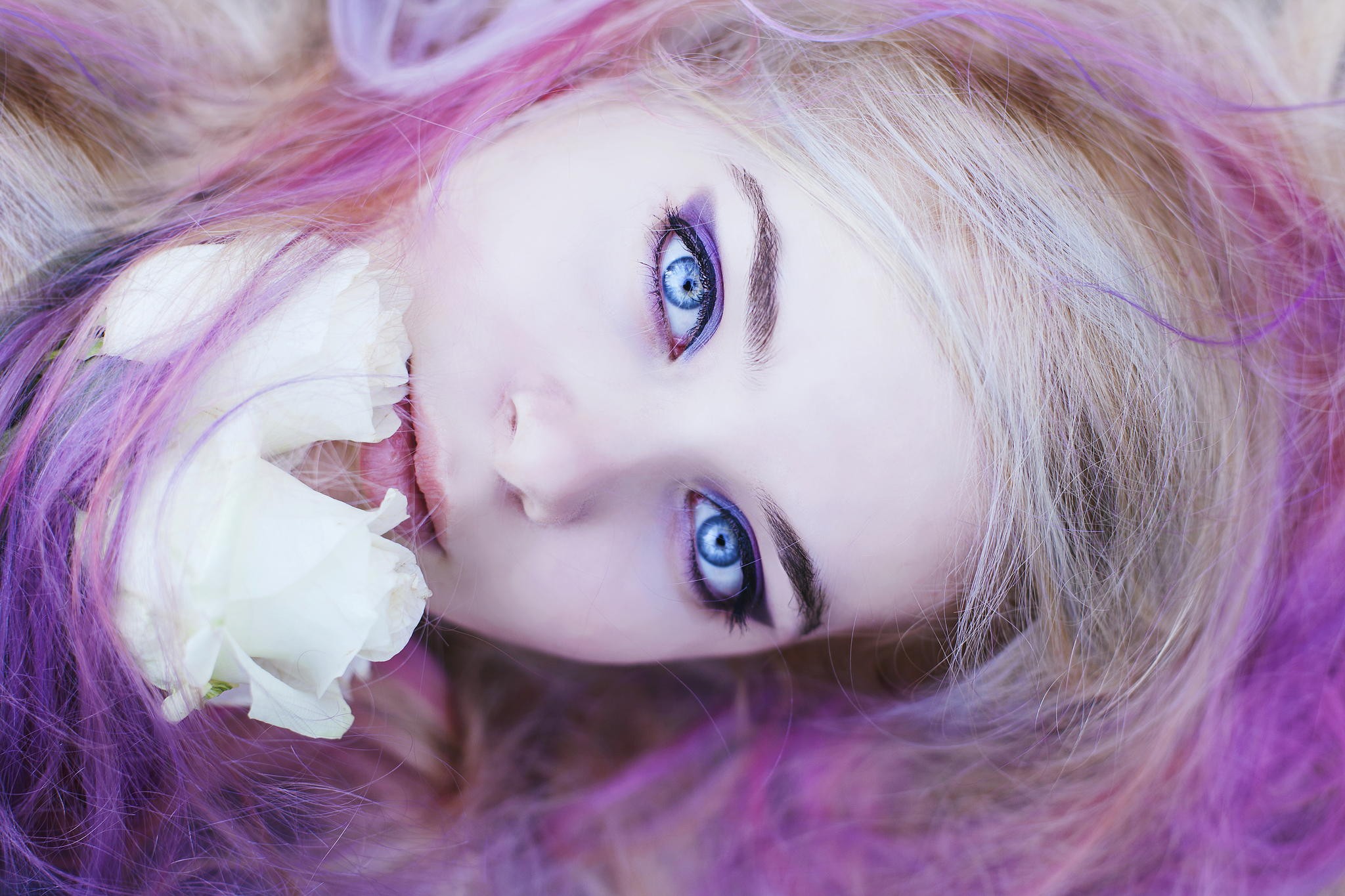 Woman with blue eyes and purple dyed hair HD Wallpaper