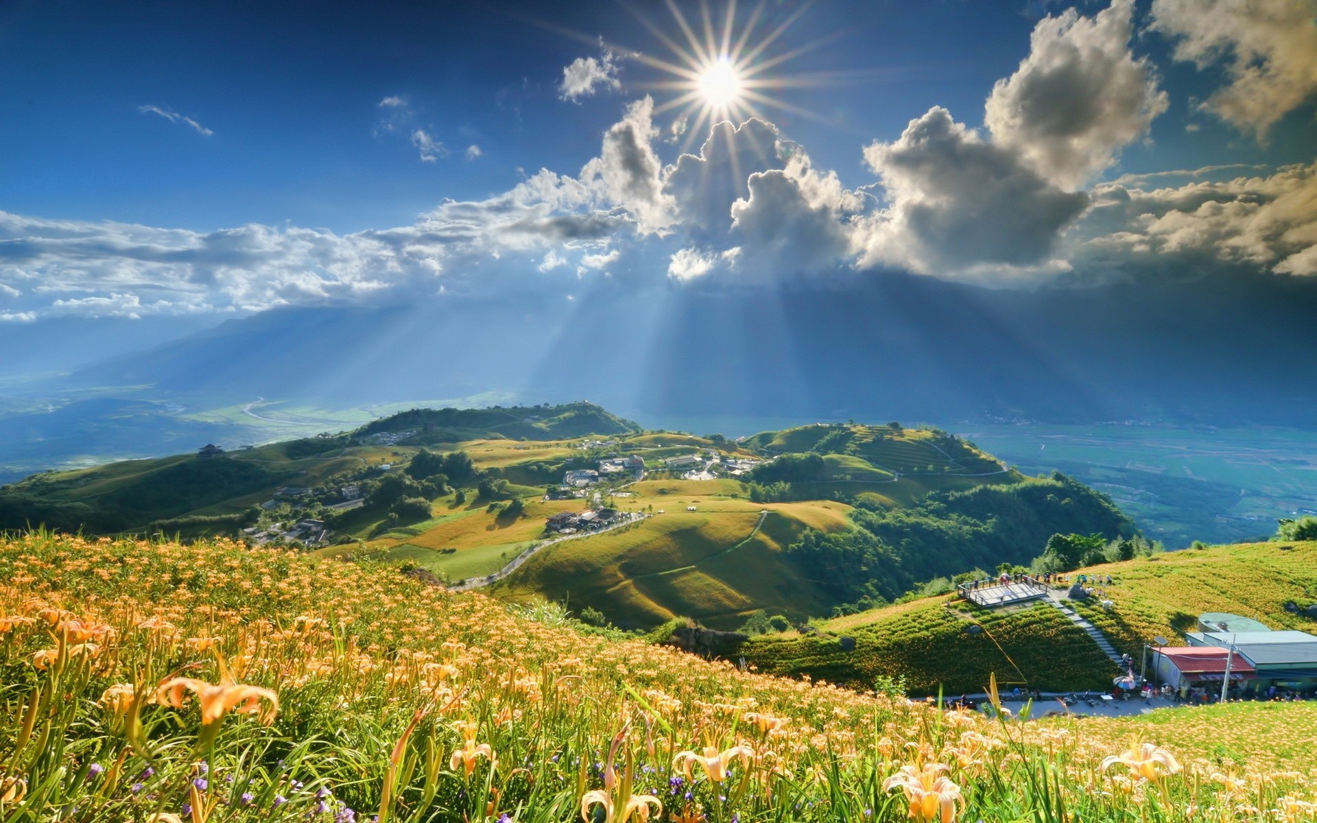 Sunlight over a valley with flower fields HD Wallpaper