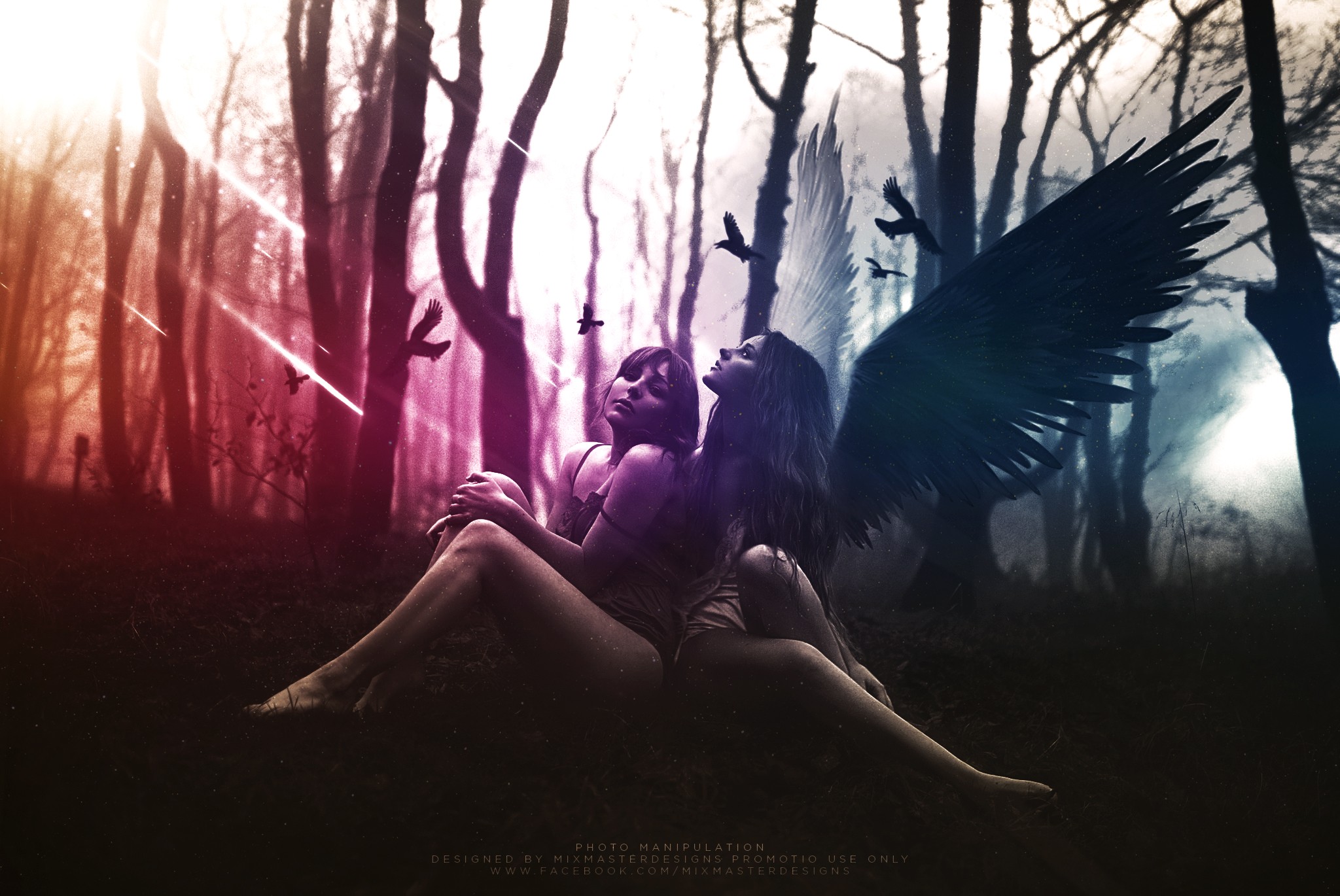 Two women with angel wings in a forest HD Wallpaper