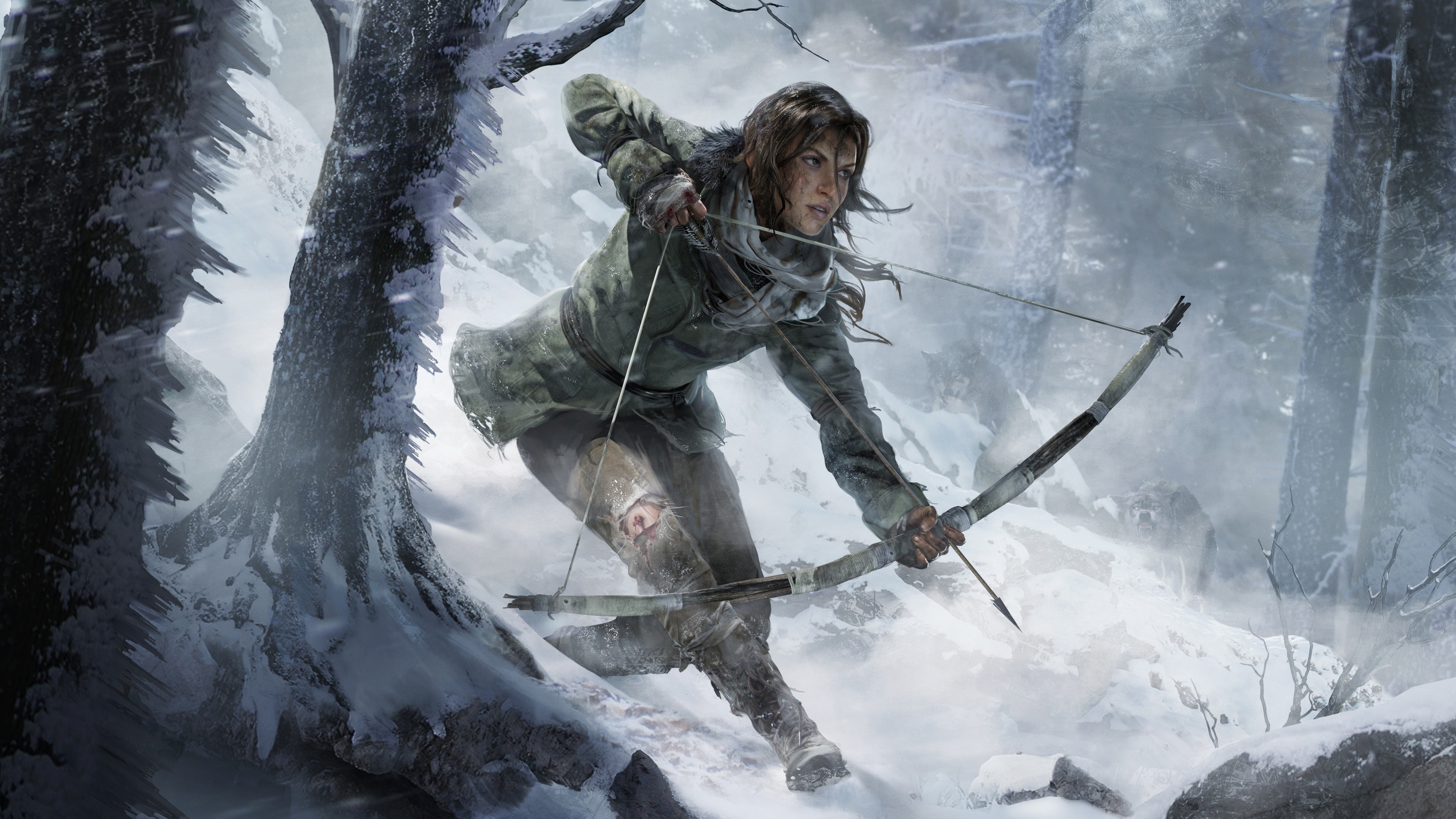 Lara Croft in Rise of the Tomb Raider HD Wallpaper