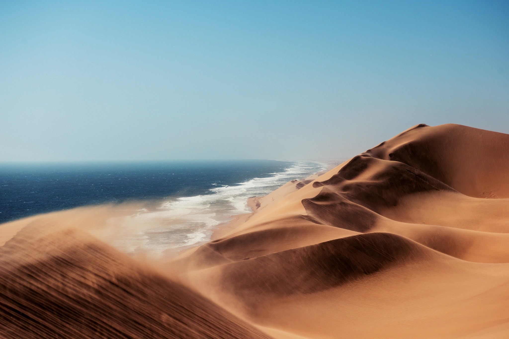 Desert dunes meet the ocean under a clear blue sky HD Wallpaper