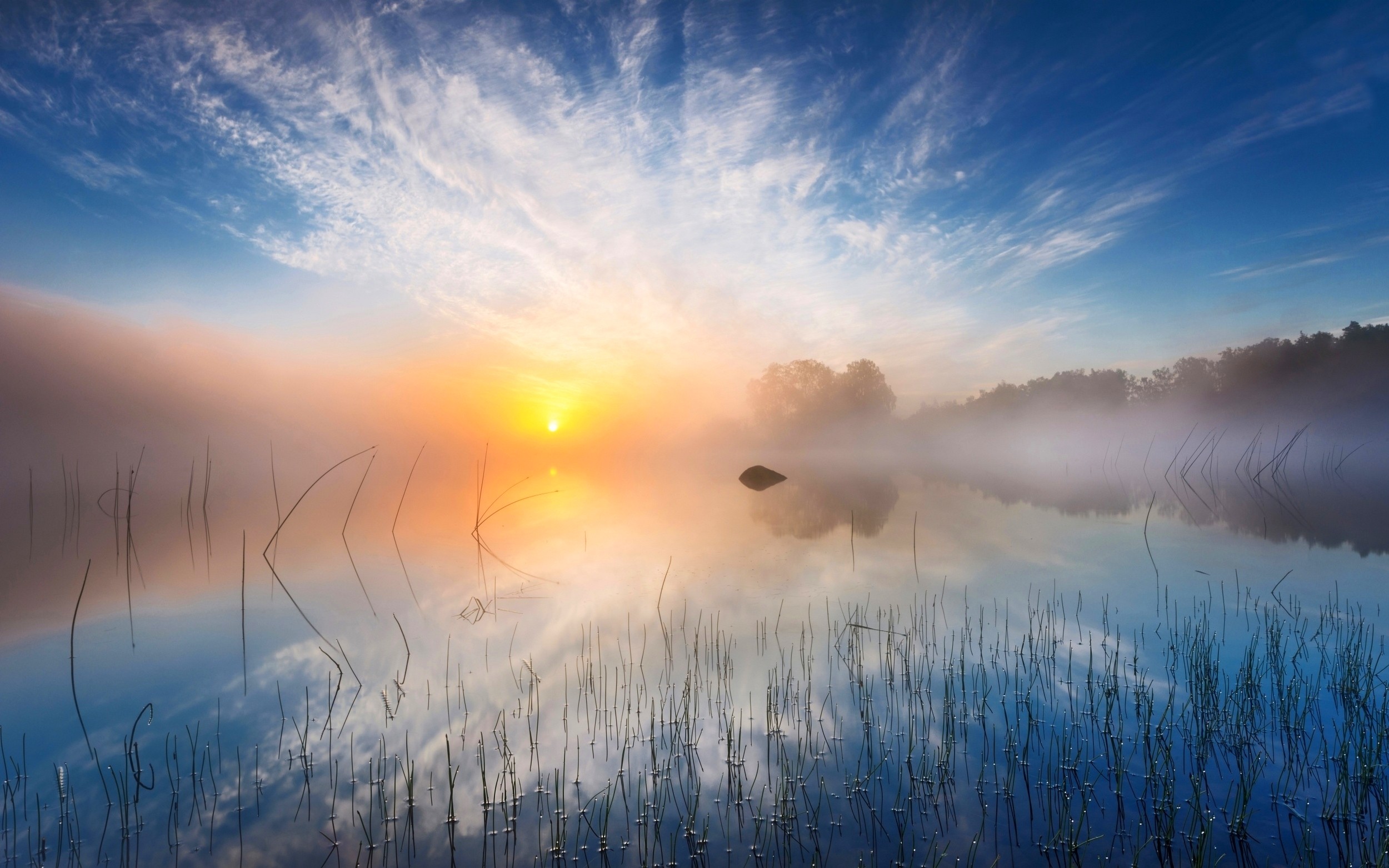 Misty sunrise over a lake in Sweden HD Wallpaper
