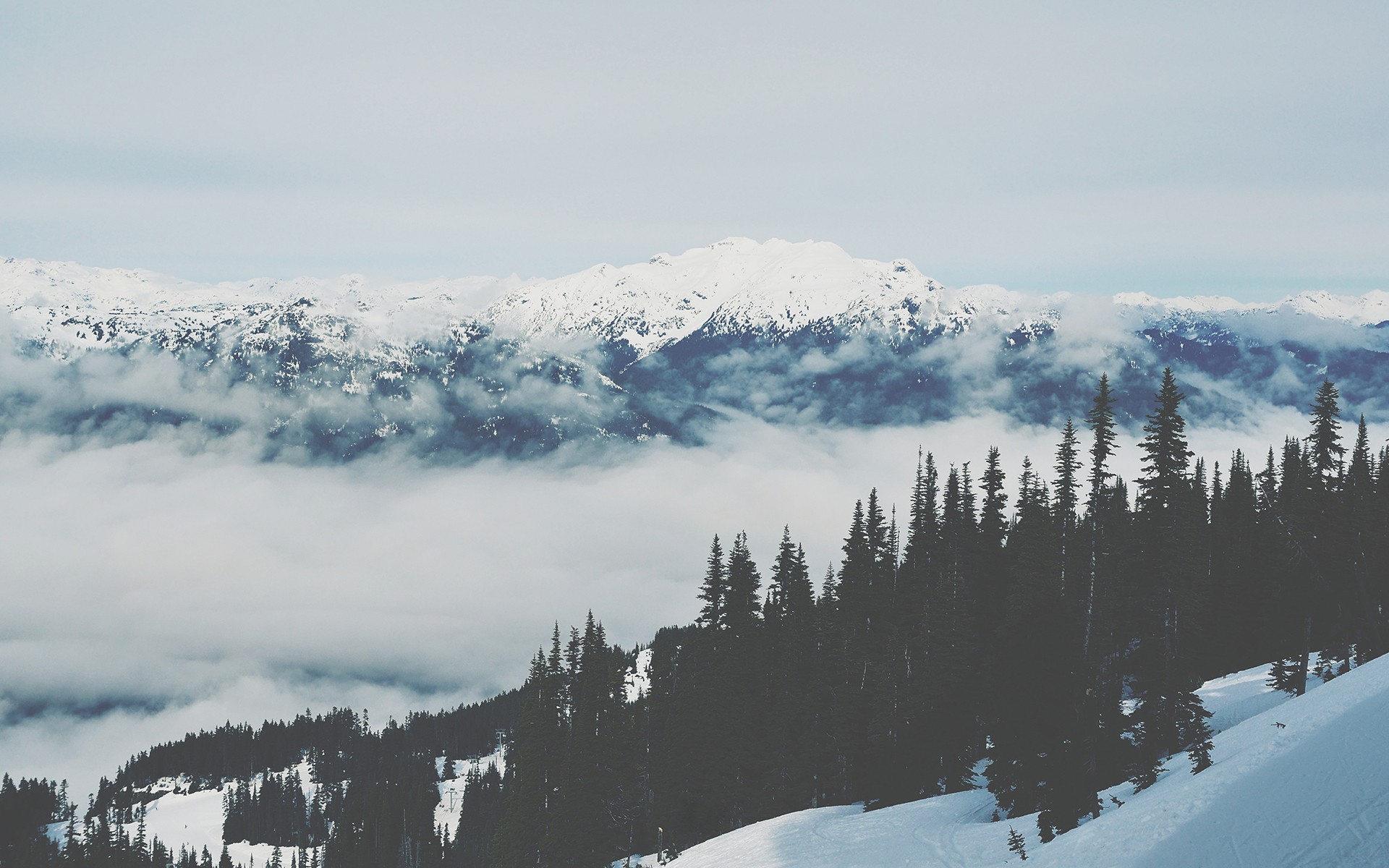 Snow-covered mountains and evergreen trees above the clouds HD Wallpaper