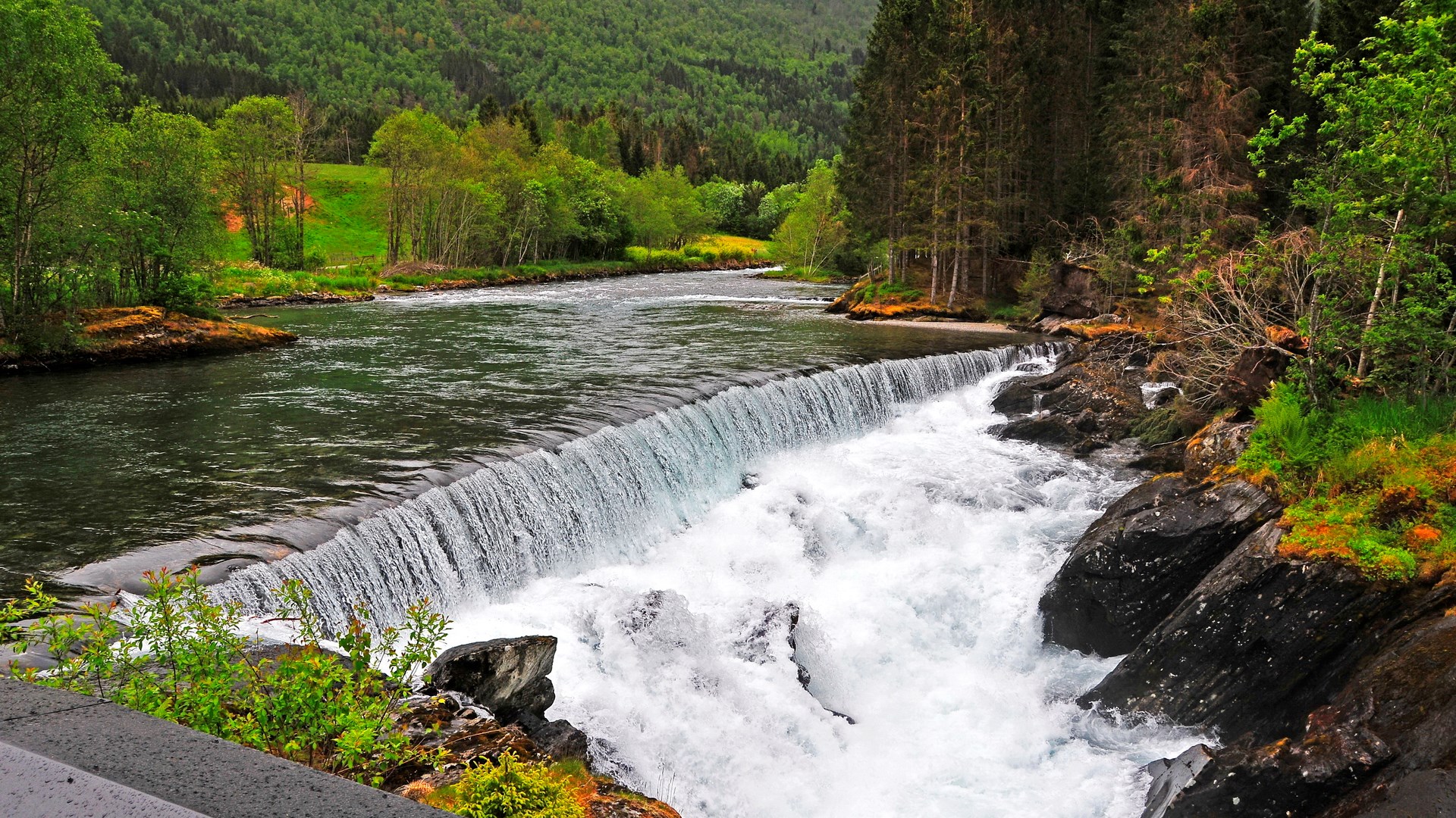 River flowing over a waterfall in a forest HD Wallpaper