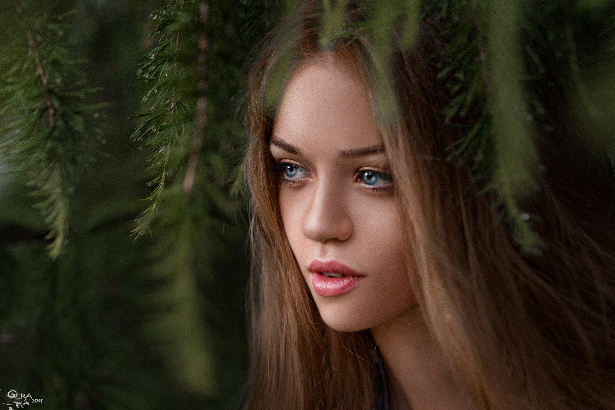 Woman with blue eyes and brunette hair among pine branches HD Wallpaper