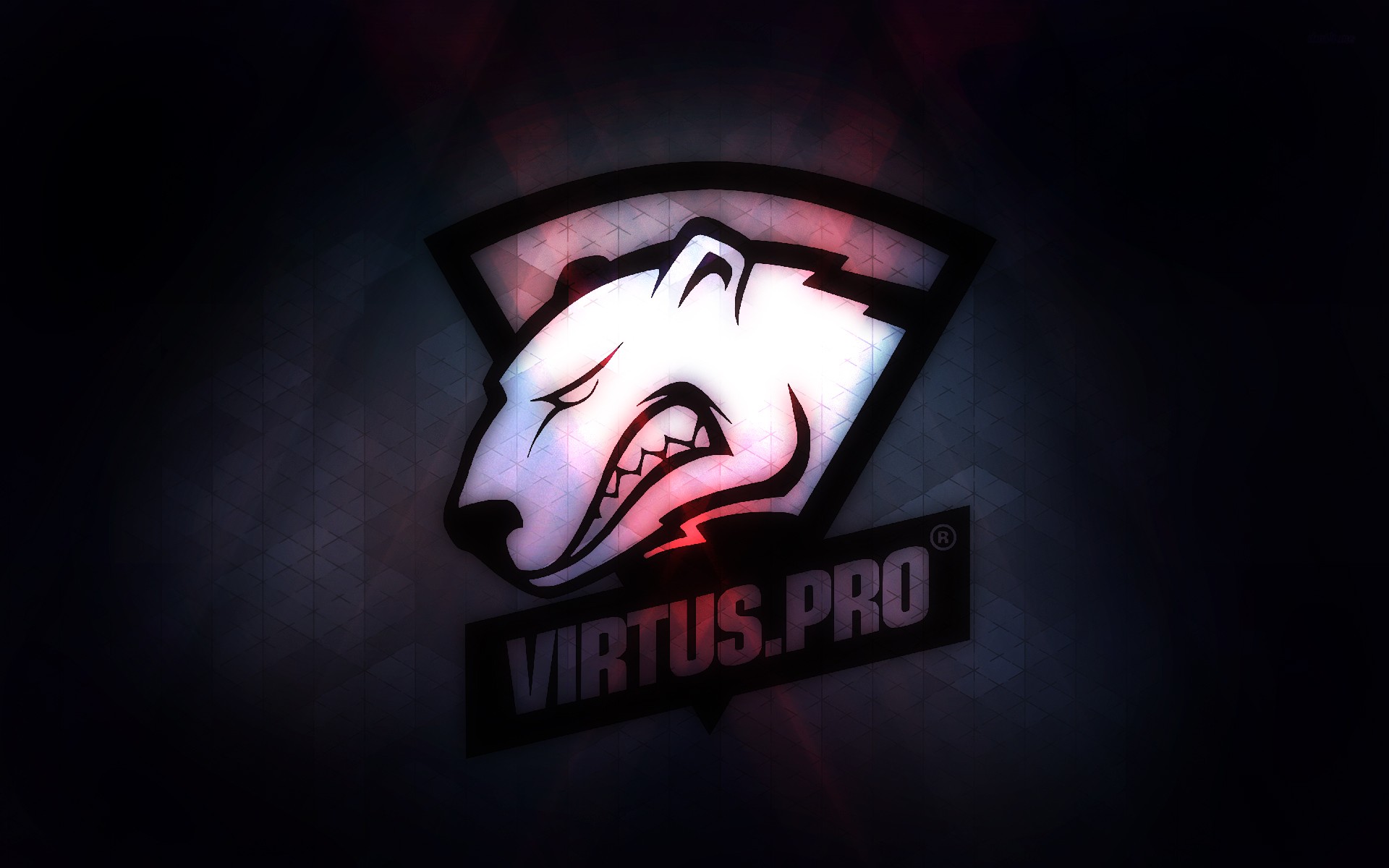 Virtus.Pro logo with a polar bear HD Wallpaper