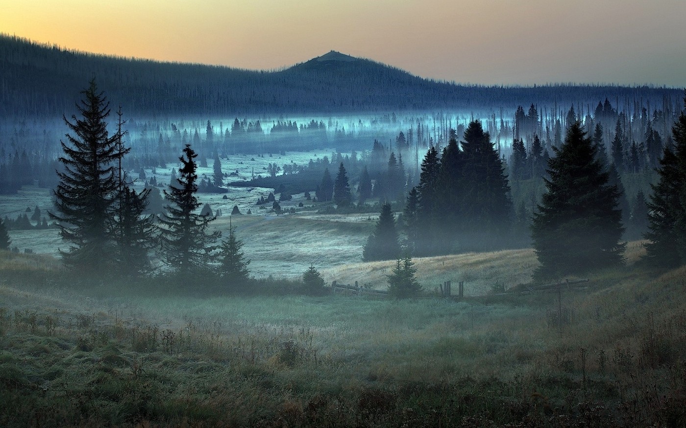 Misty forest landscape with mountains in Germany HD Wallpaper