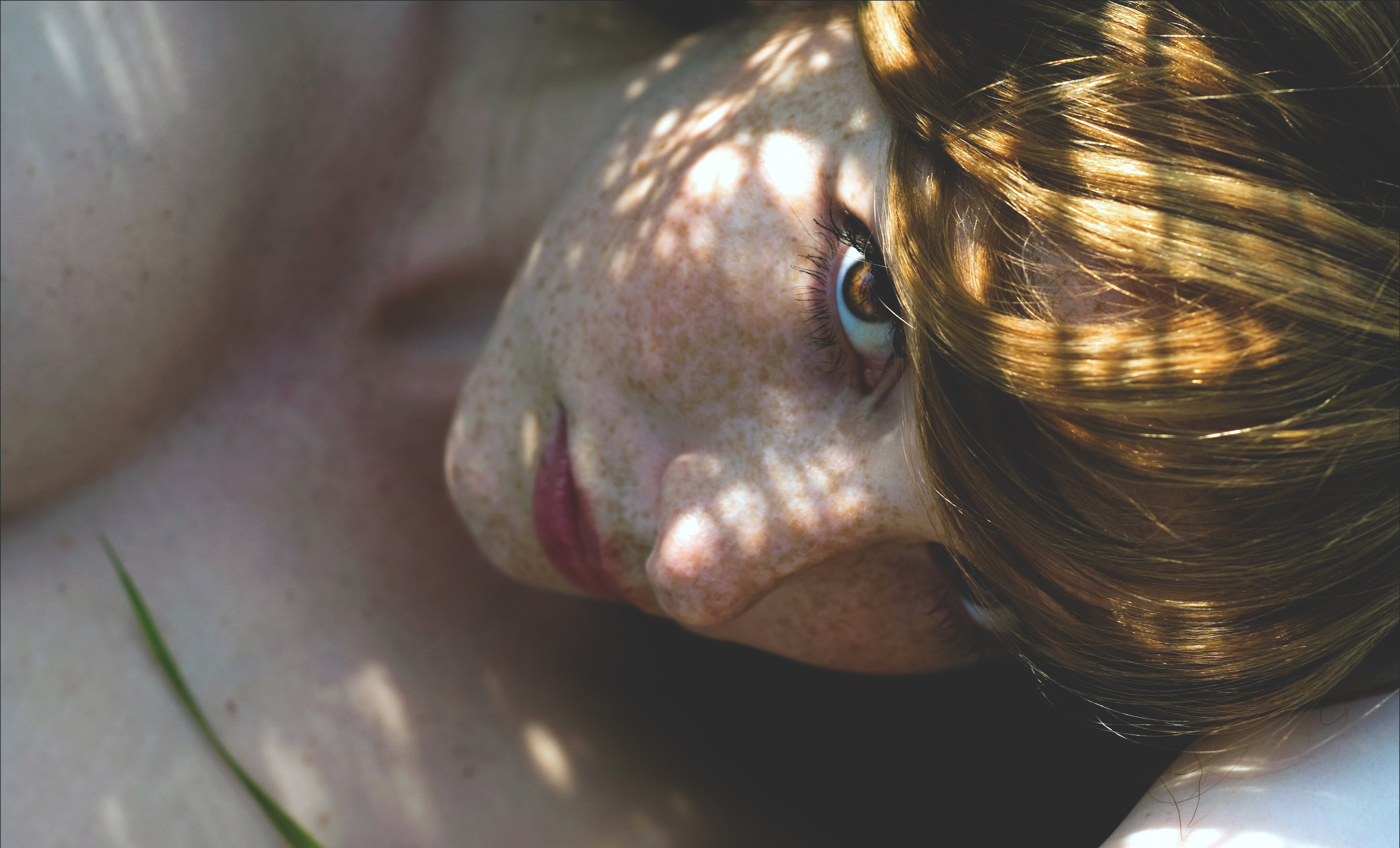 Woman with freckles and hazel eyes HD Wallpaper