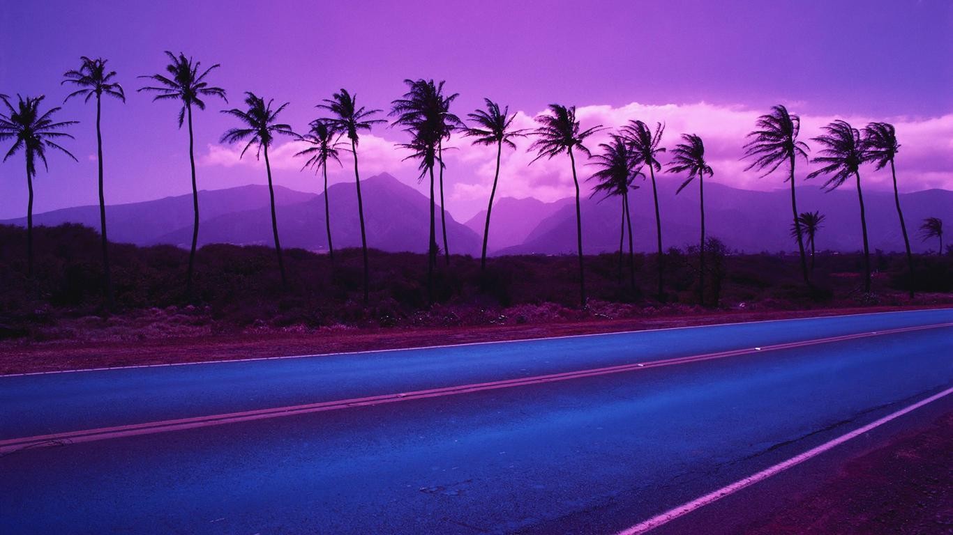 Road with palm trees and mountains at sunset HD Wallpaper